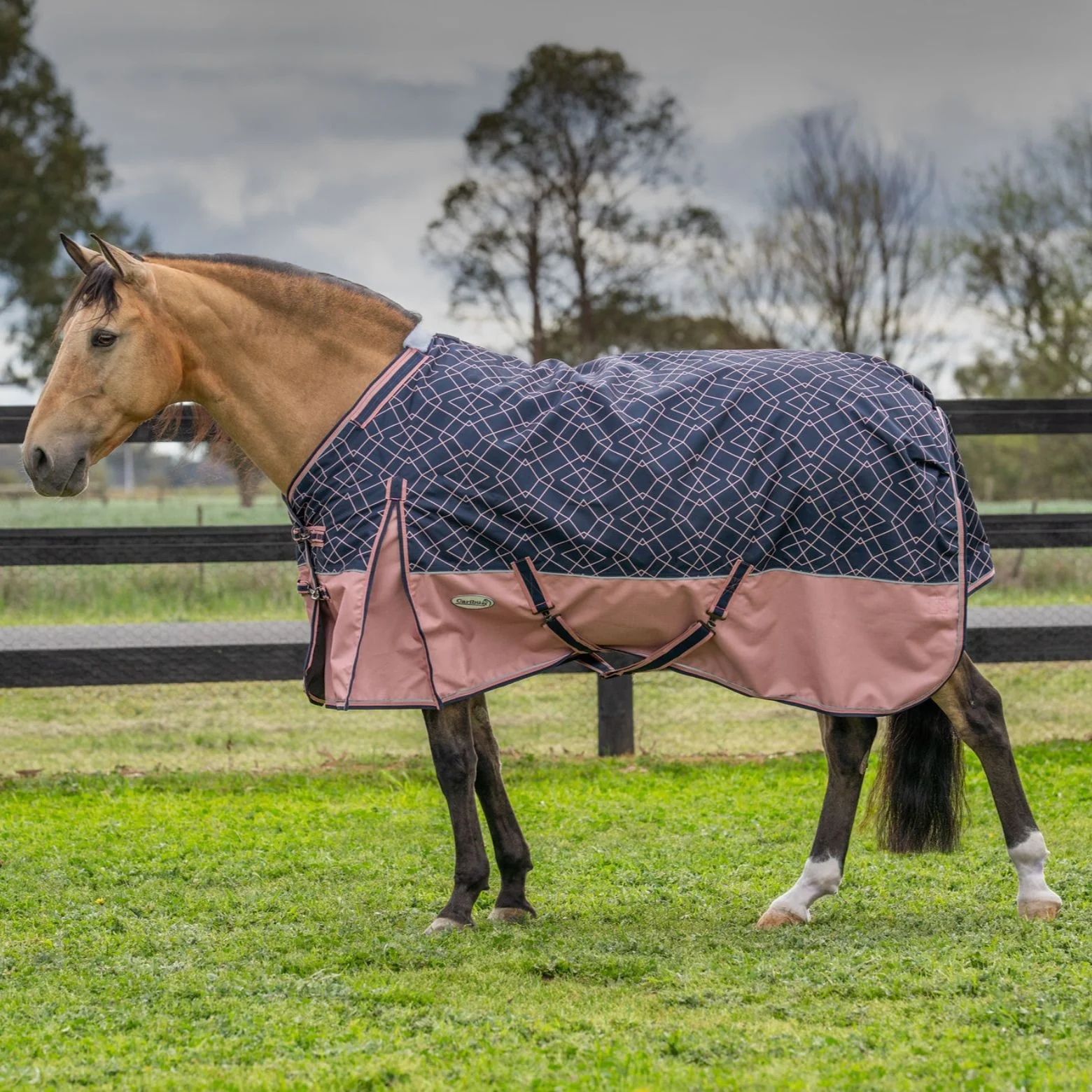 Caribu Alpine Detach-a-Neck Horse Rug 100g Rose Geo - Image 19