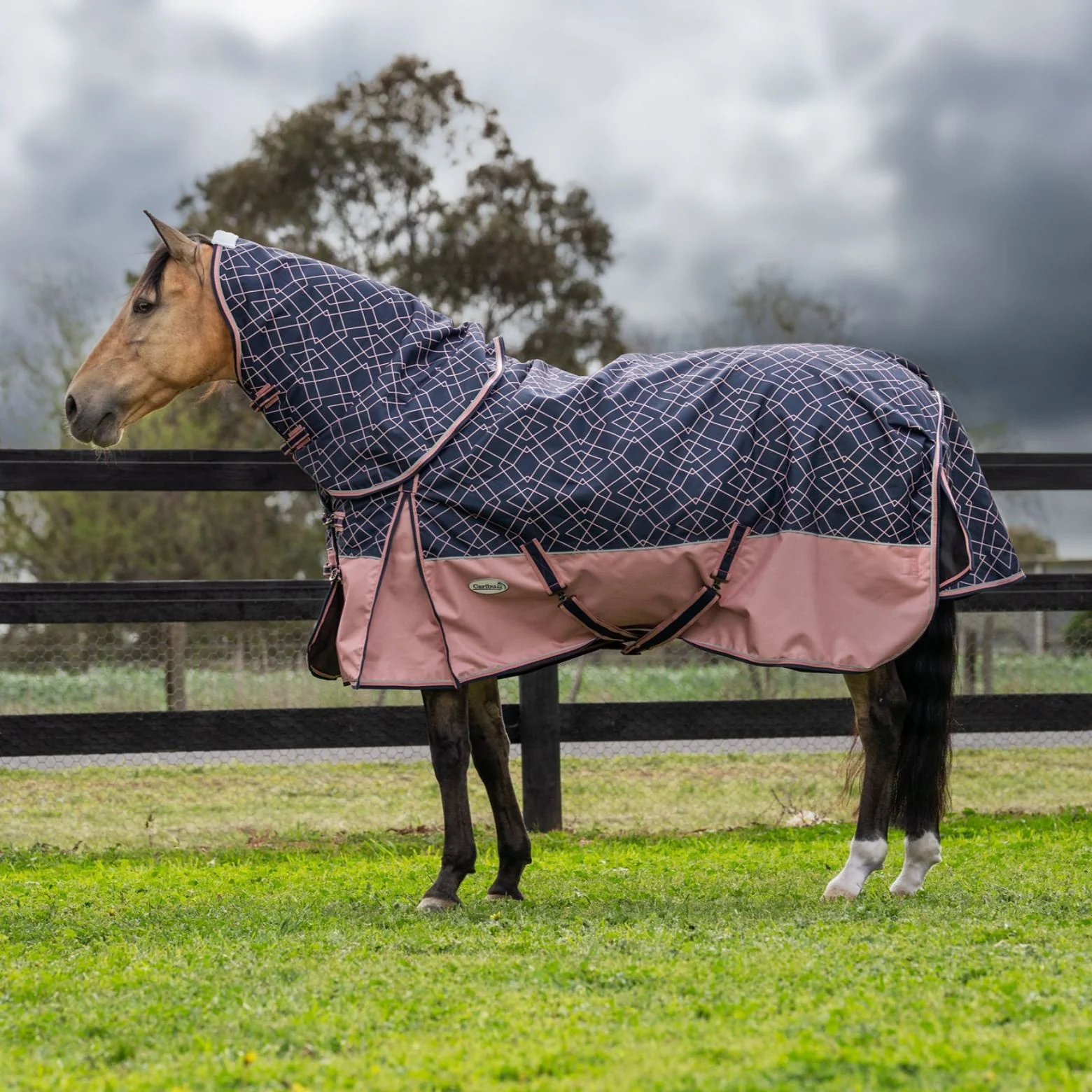 Caribu Alpine Detach-a-Neck Horse Rug 100g Rose Geo - Image 3