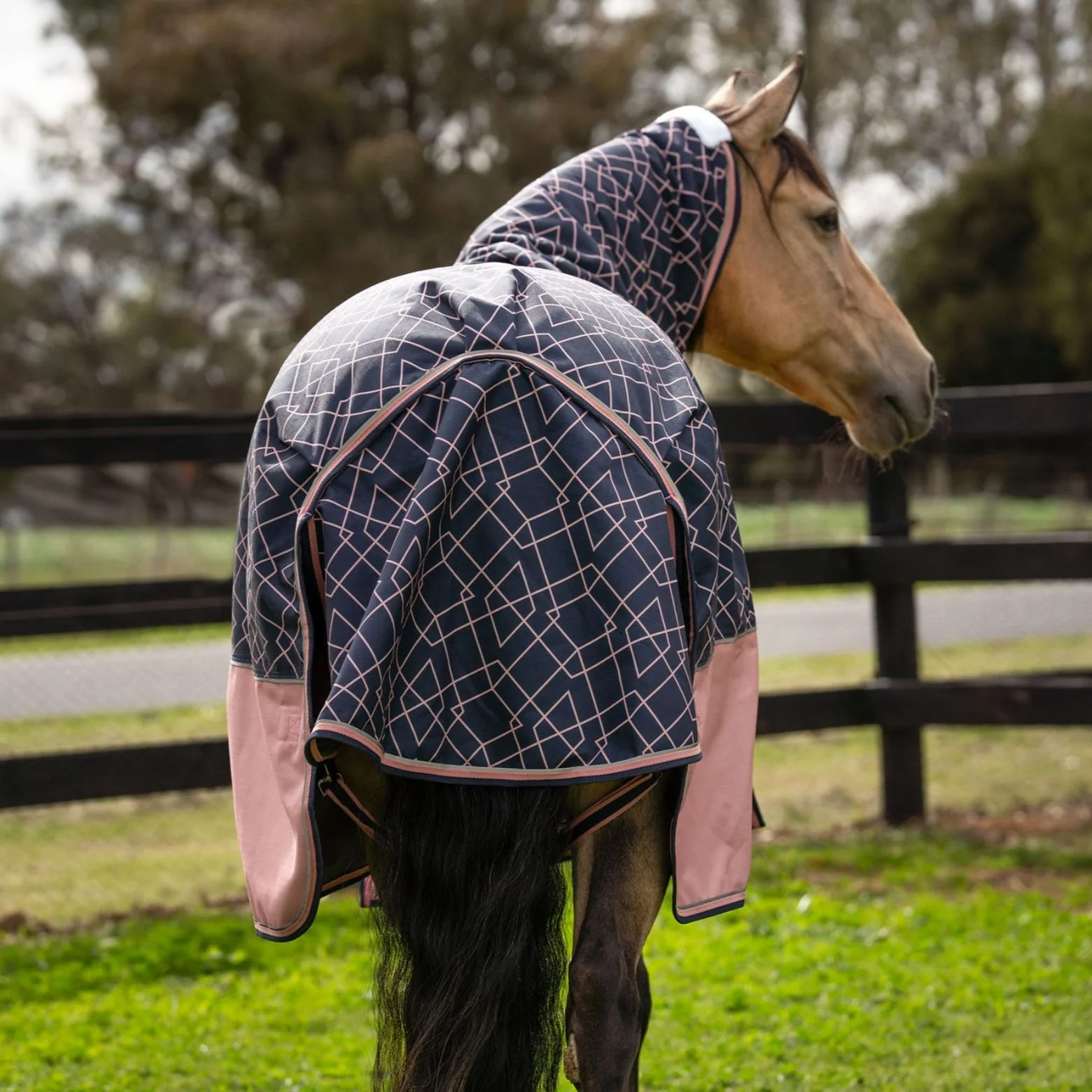 Caribu Alpine Detach-a-Neck Horse Rug 100g Rose Geo - Image 55