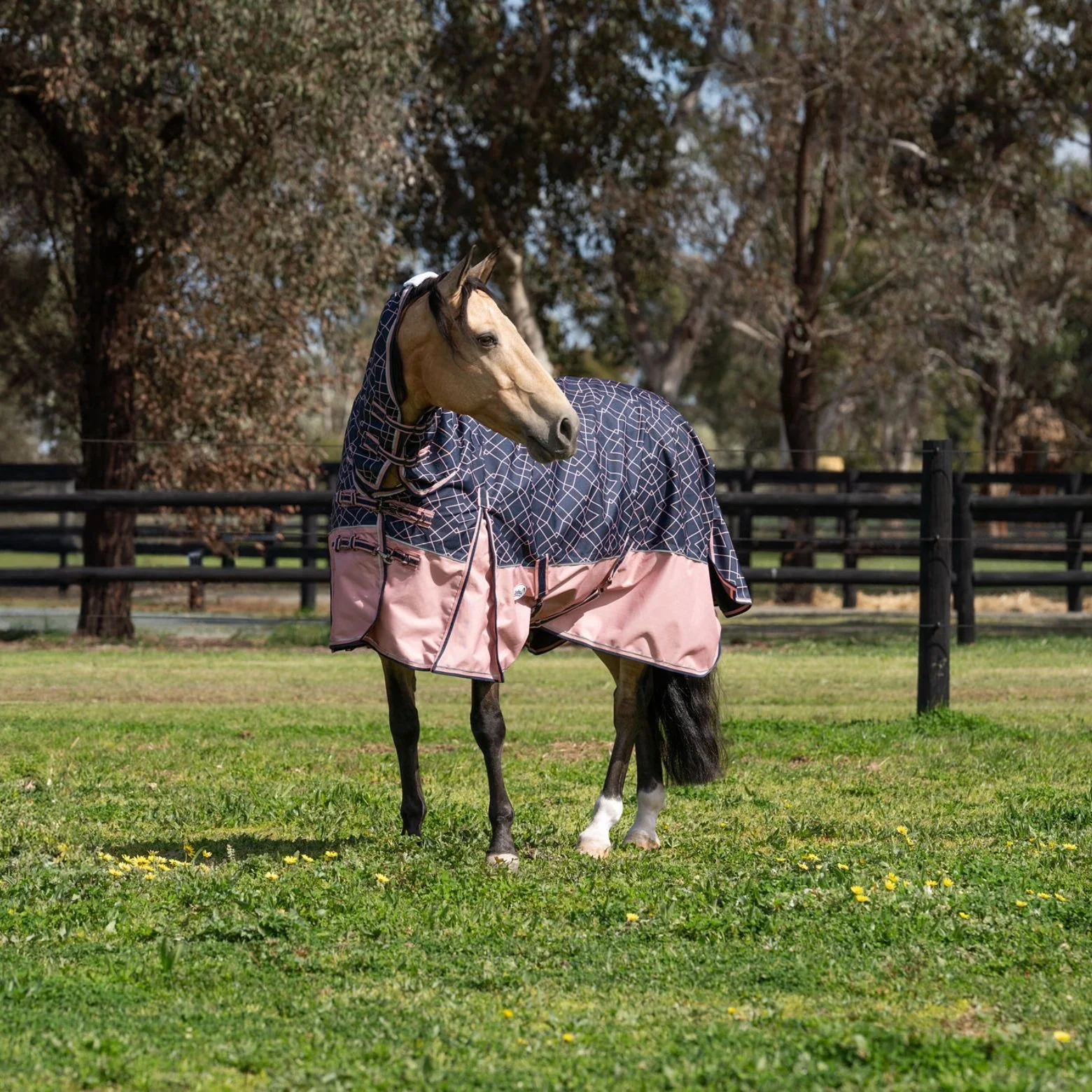 Caribu Alpine Detach-a-Neck Horse Rug 100g Rose Geo - Image 73