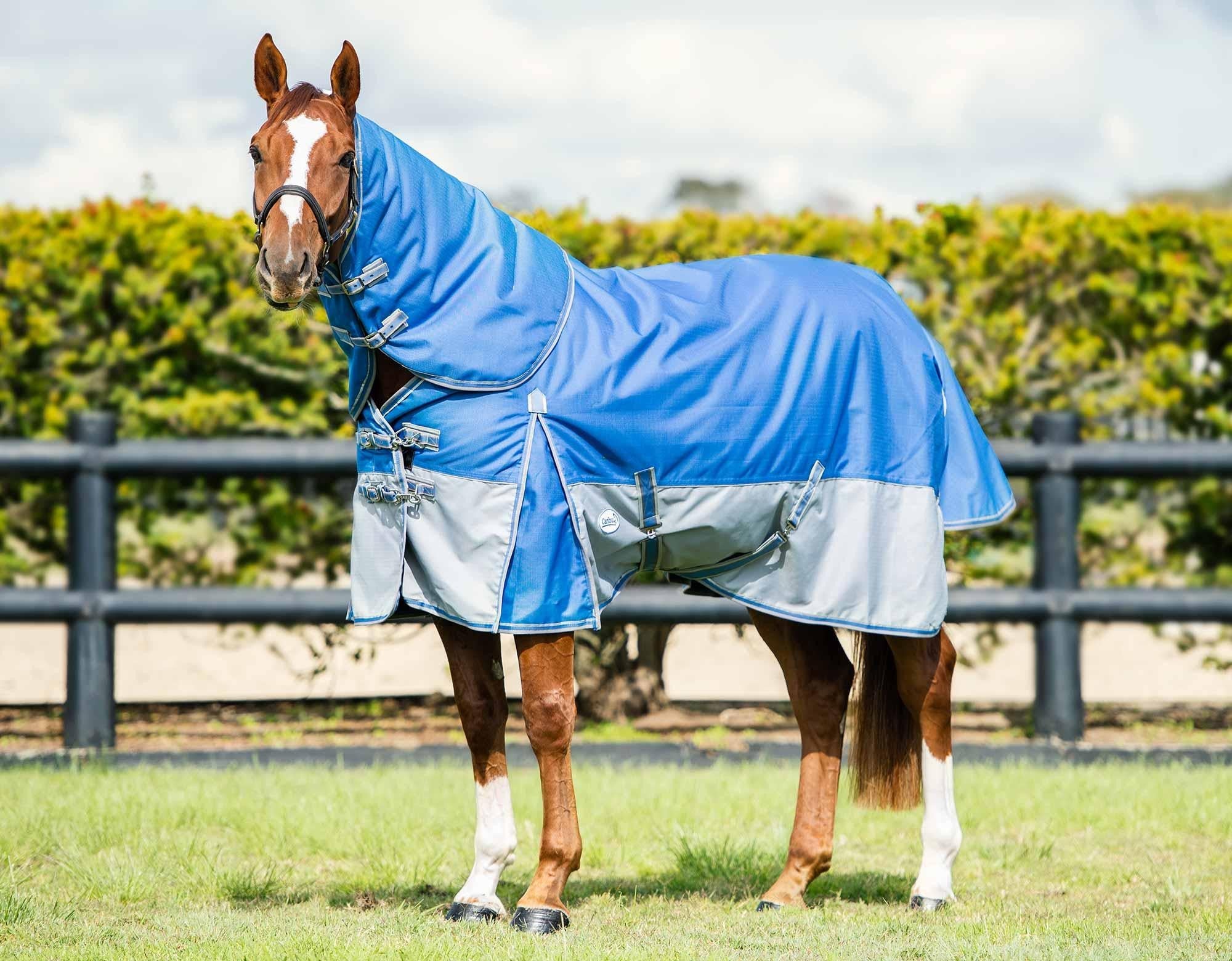 Caribu Alpine Detach-a-Neck Horse Rug 250g - Image 29