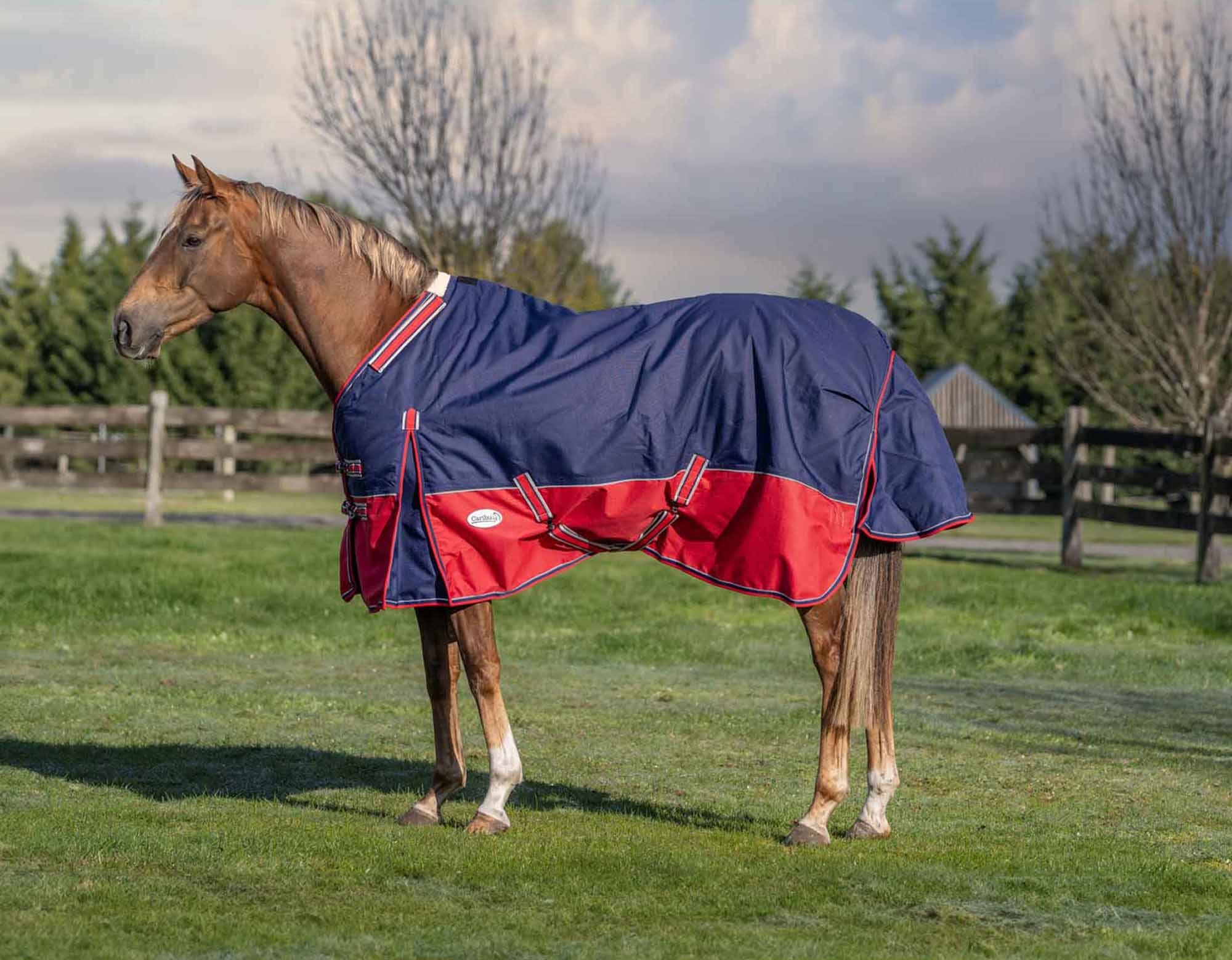 Caribu Alpine Detach-a-Neck Horse Rug 250g Navy Red - Image 11