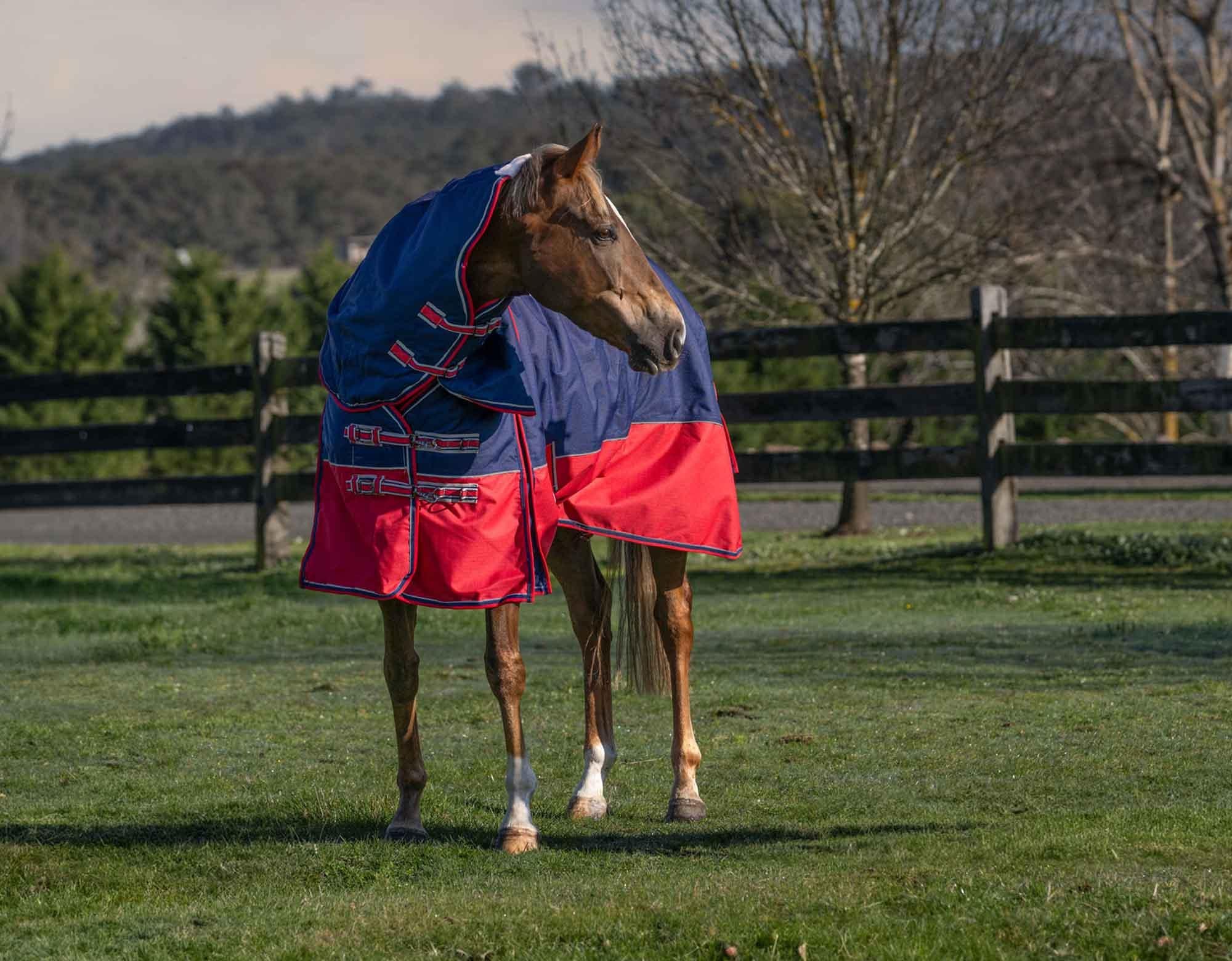 Caribu Alpine Detach-a-Neck Horse Rug 250g Navy Red - Image 30