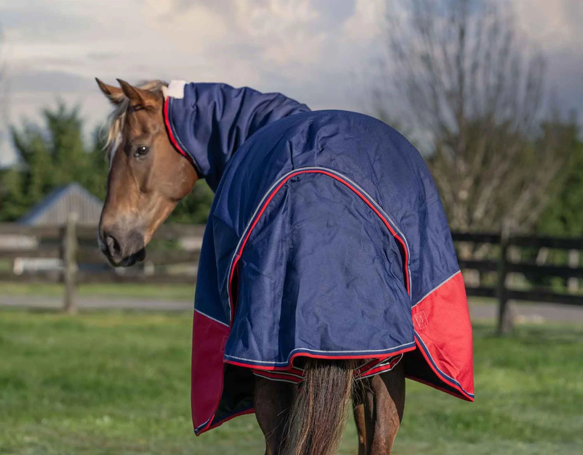 Caribu Alpine Detach-a-Neck Horse Rug 250g Navy Red - Image 41