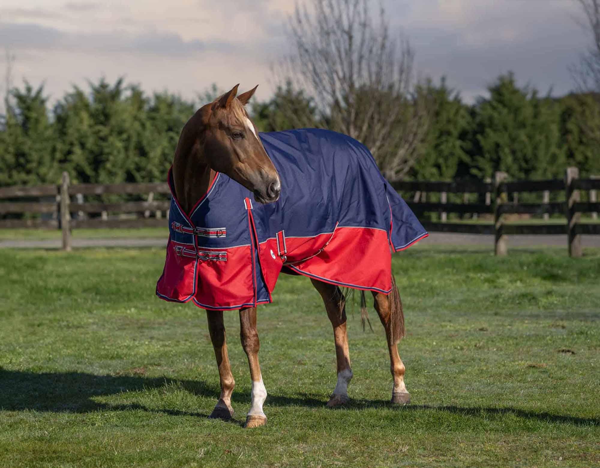 Caribu Alpine Detach-a-Neck Horse Rug 250g Navy Red - Image 56