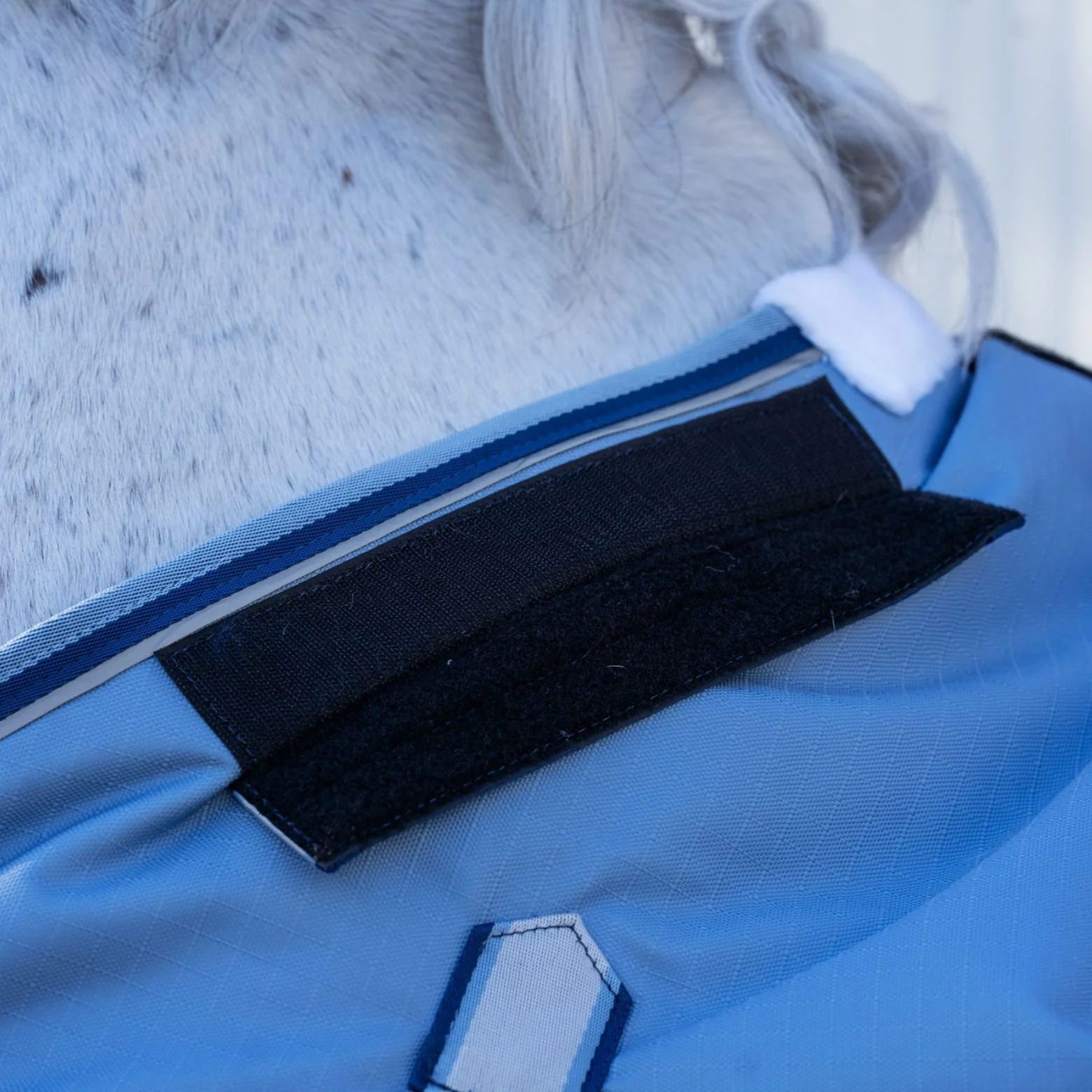 Caribu Alpine Detach-a-Neck Horse Rug 250g Sky Geo - Image 49