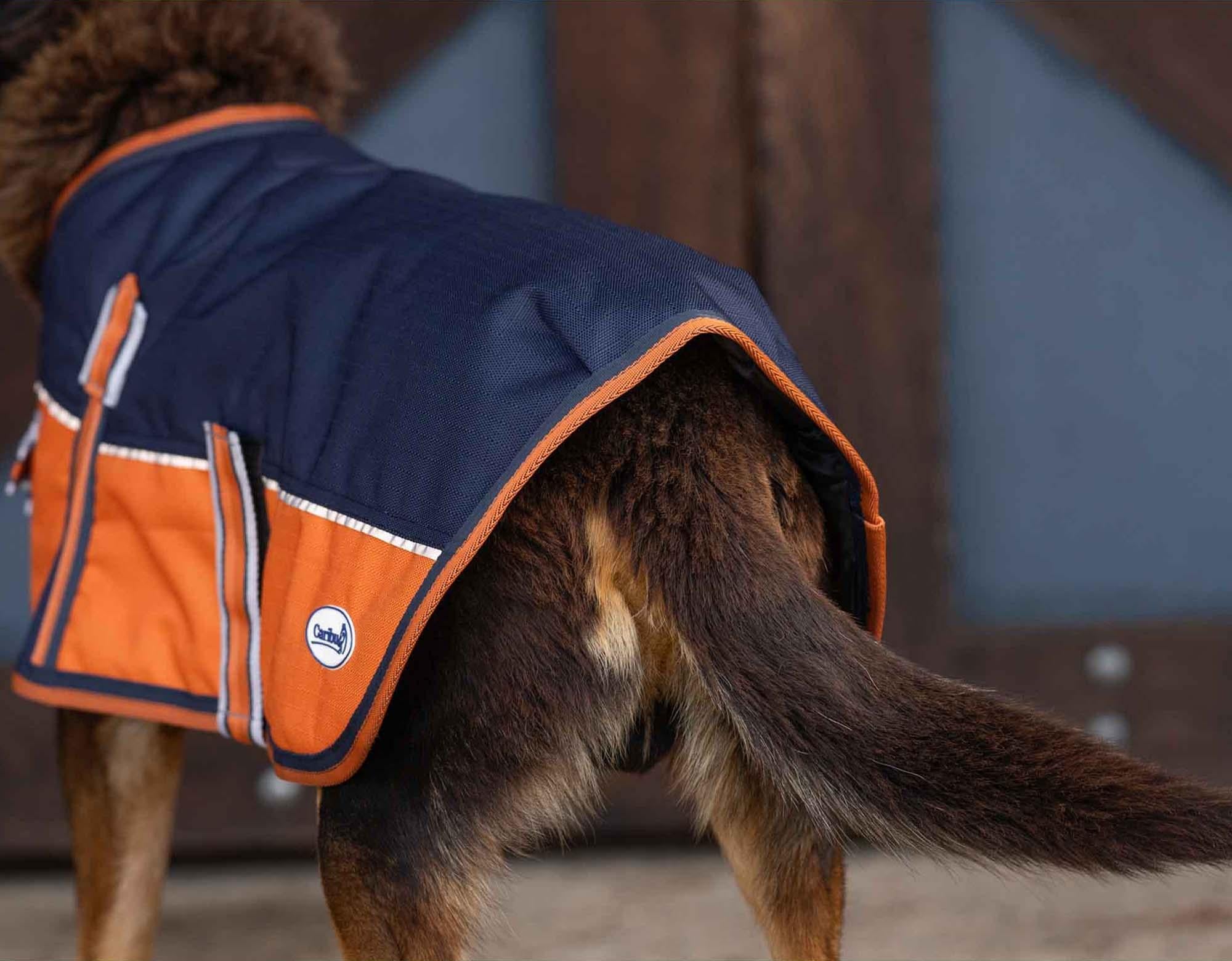 Caribu Alpine Dog Coat - Image 3