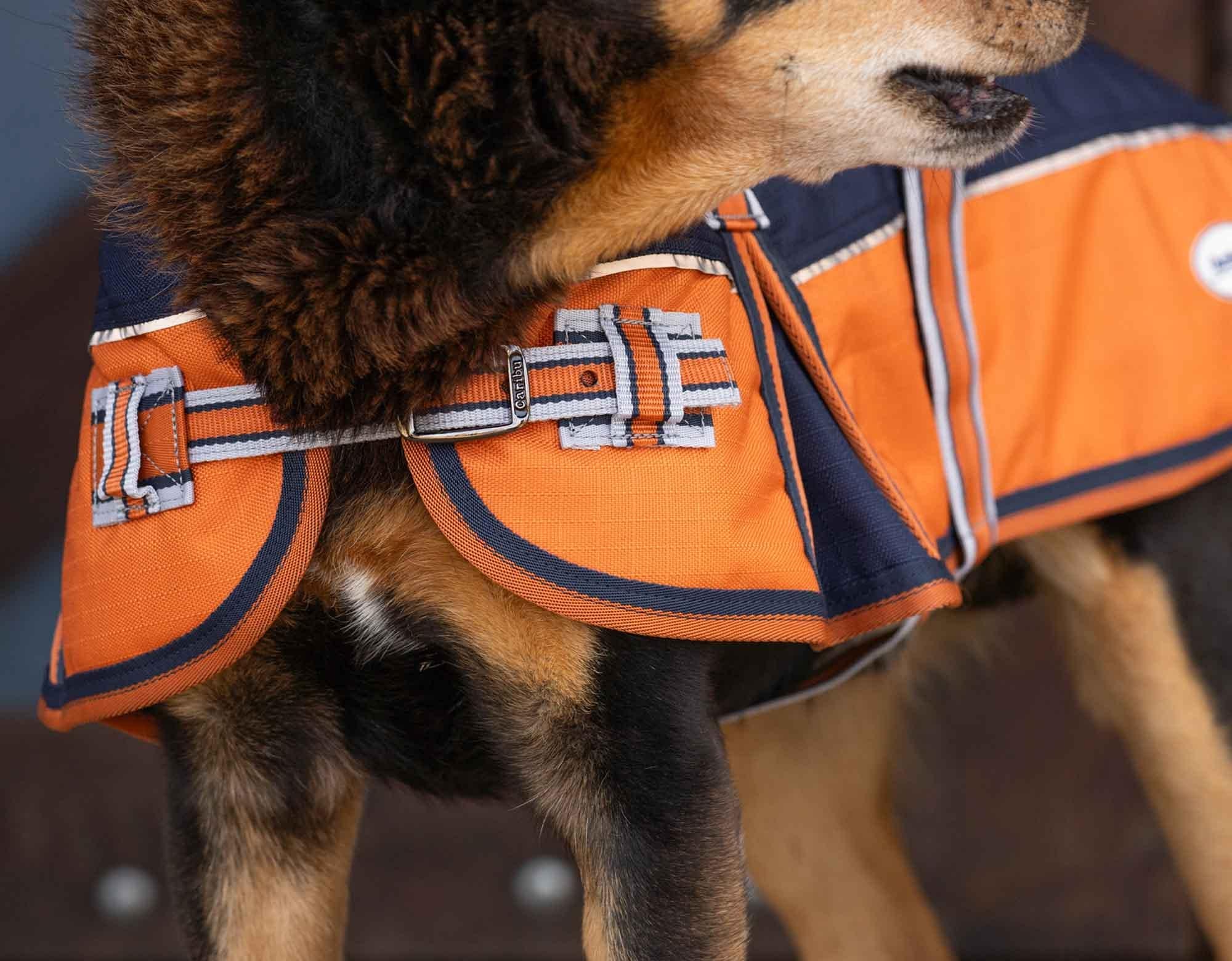 Caribu Alpine Dog Coat - Image 4