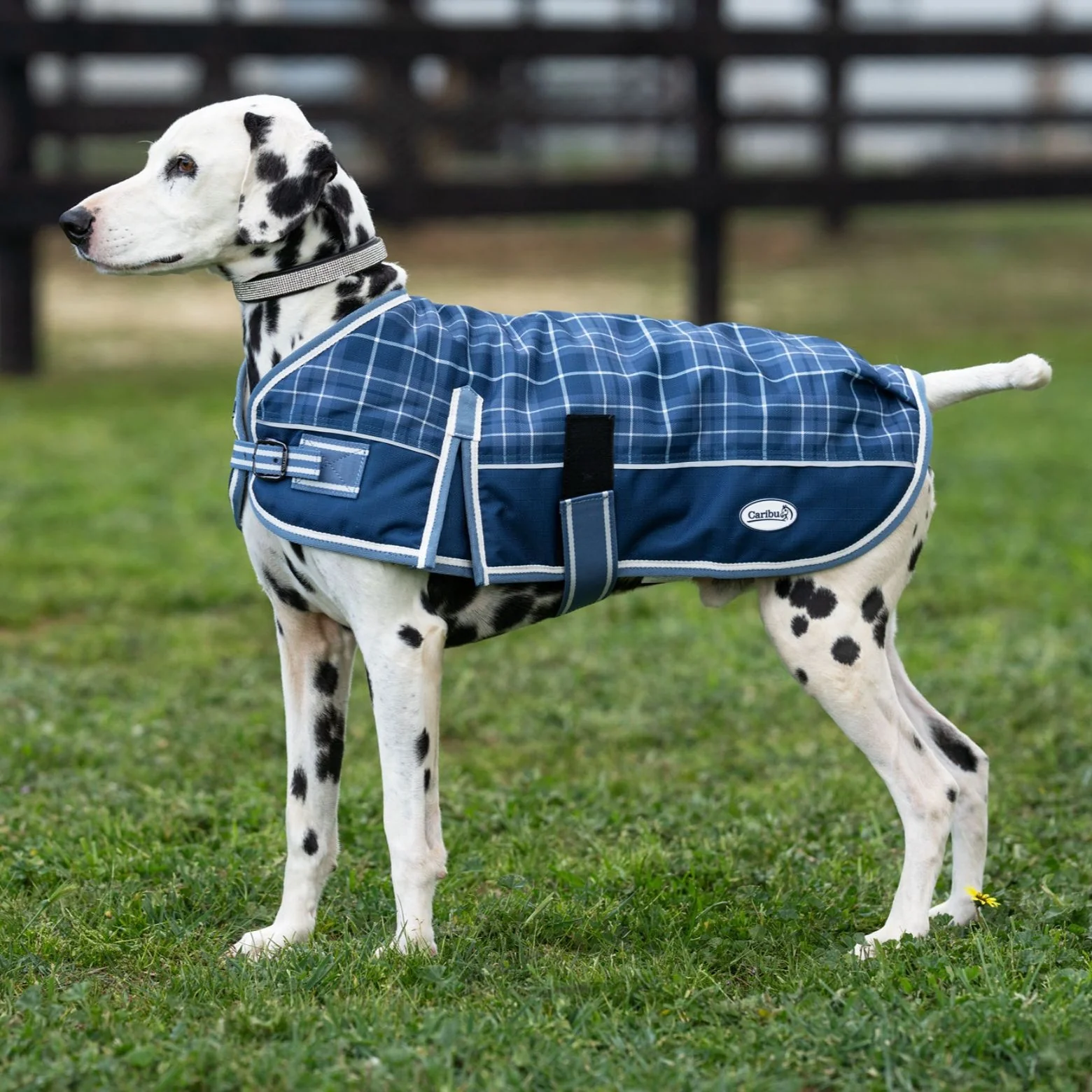 Caribu Alpine Dog Coat Classic Tartan - Image 5
