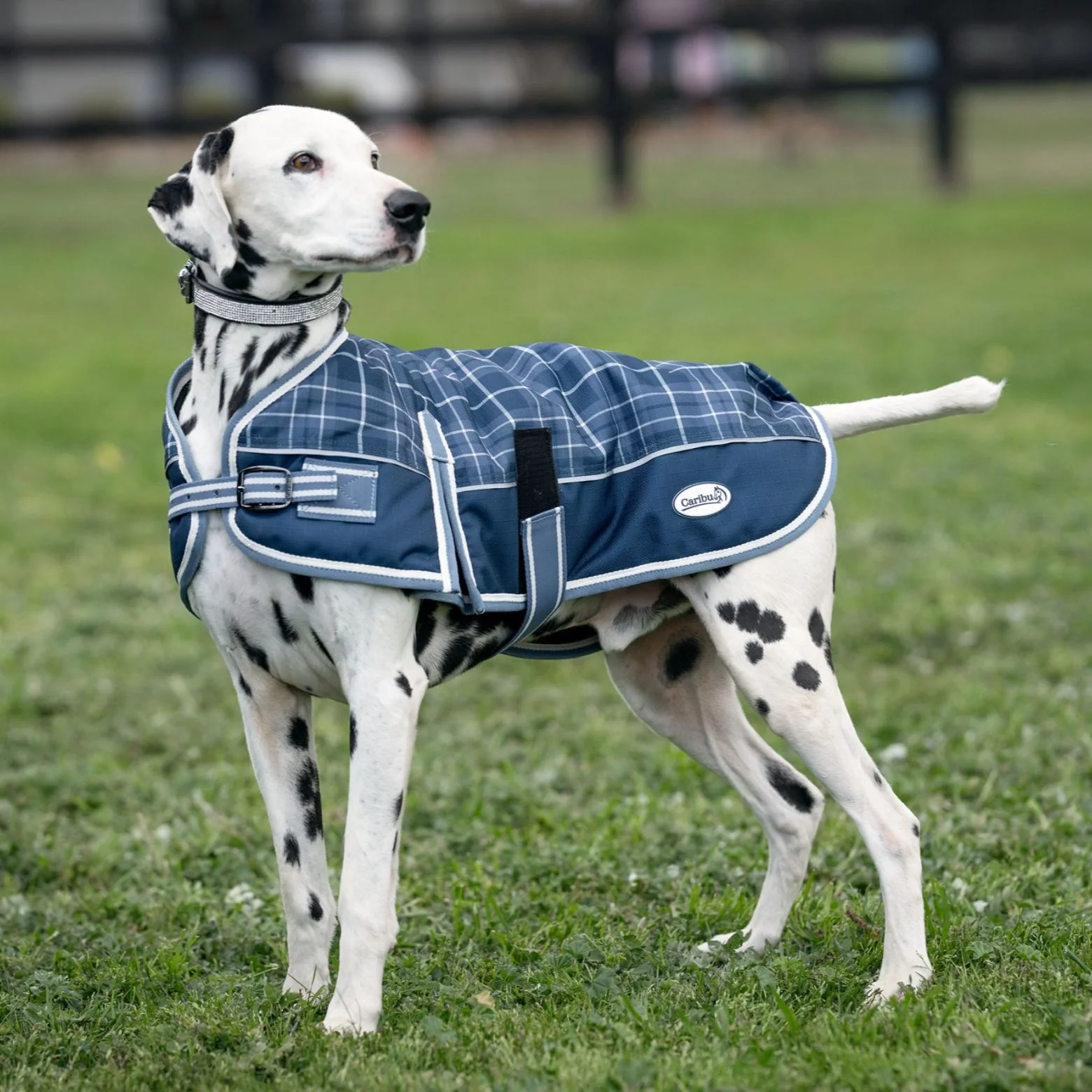 Caribu Alpine Dog Coat Classic Tartan - Image 9