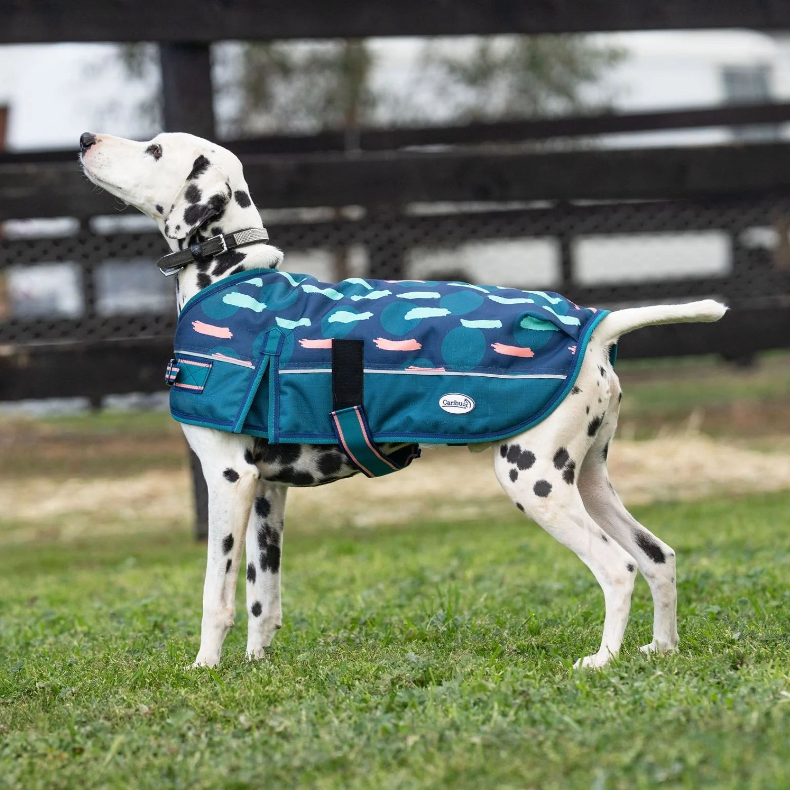 Caribu Alpine Dog Coat Peach Splotch - Image 11