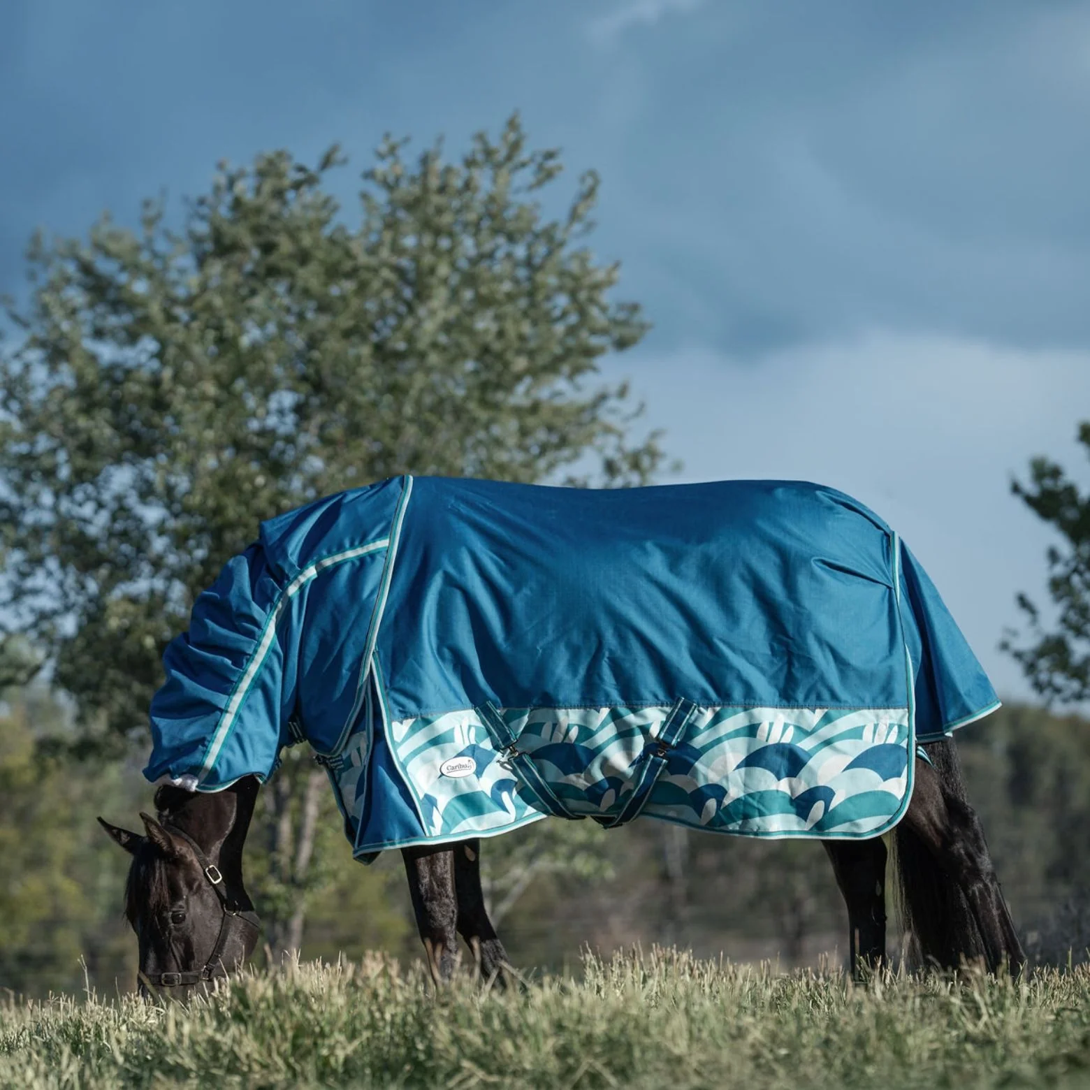 Caribu Alpine Scrunch Detach-a-Neck Horse Rug 100g Ocean Crest - Image 13