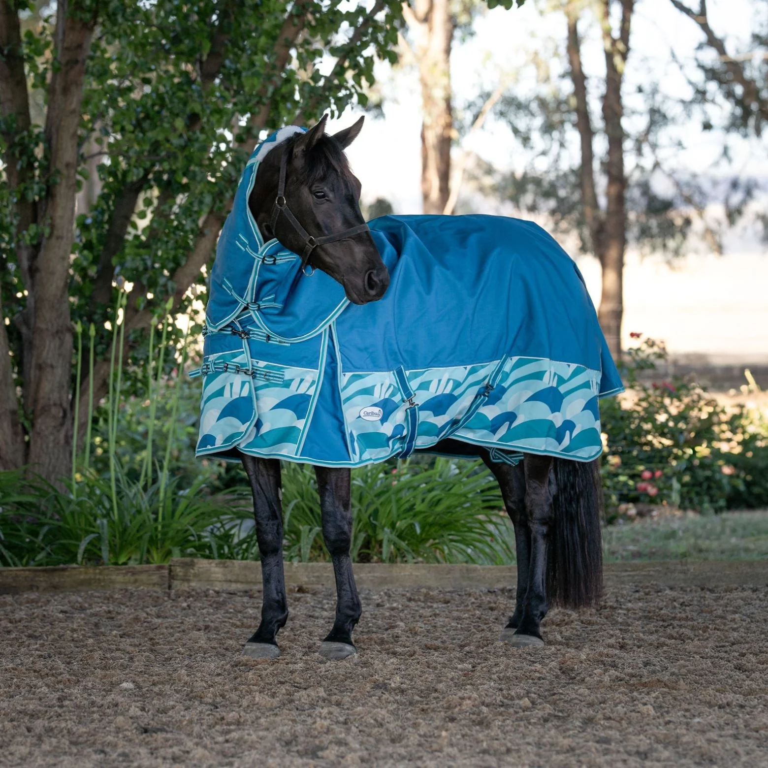 Caribu Alpine Scrunch Detach-a-Neck Horse Rug 100g Ocean Crest - Image 34