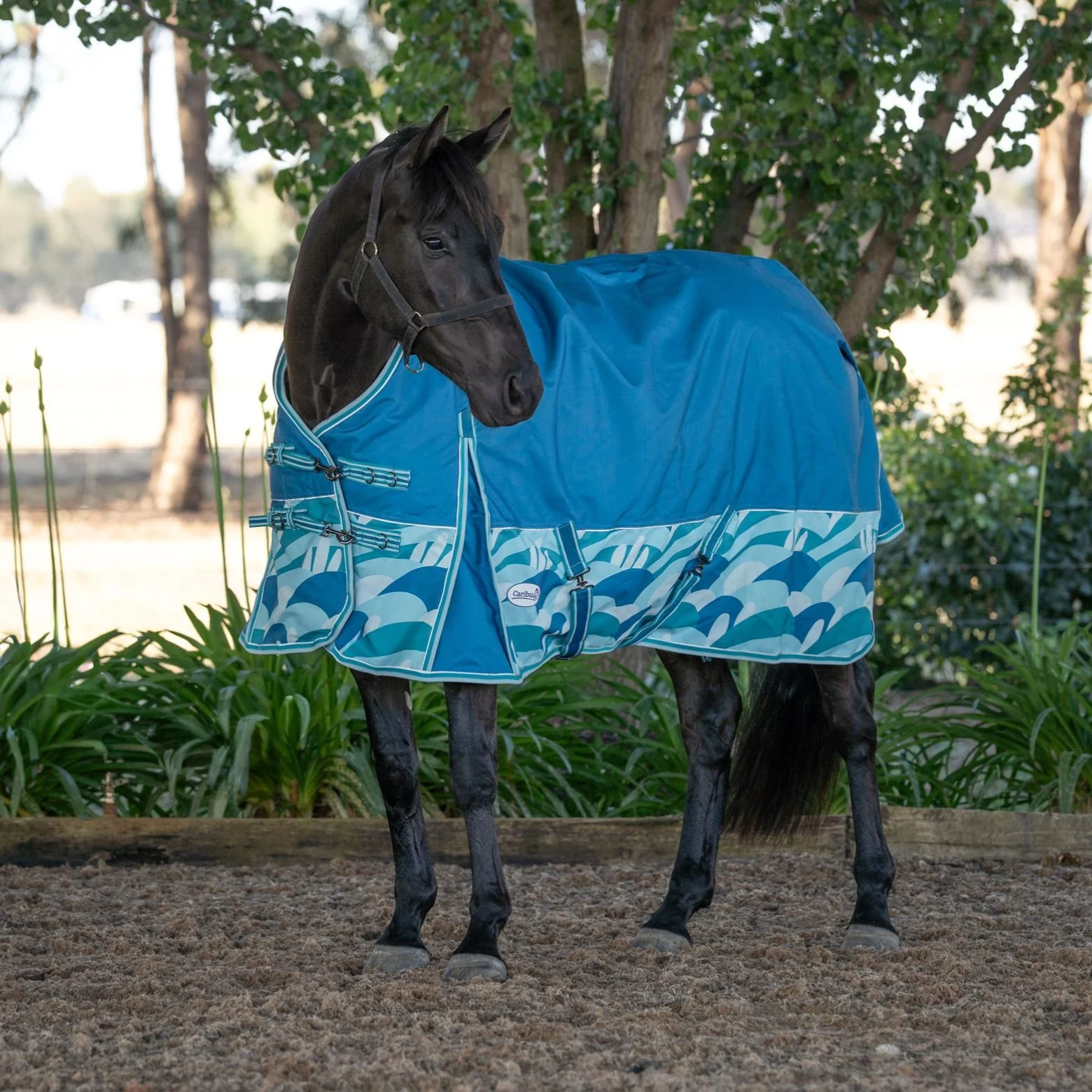 Caribu Alpine Scrunch Detach-a-Neck Horse Rug 100g Ocean Crest - Image 82