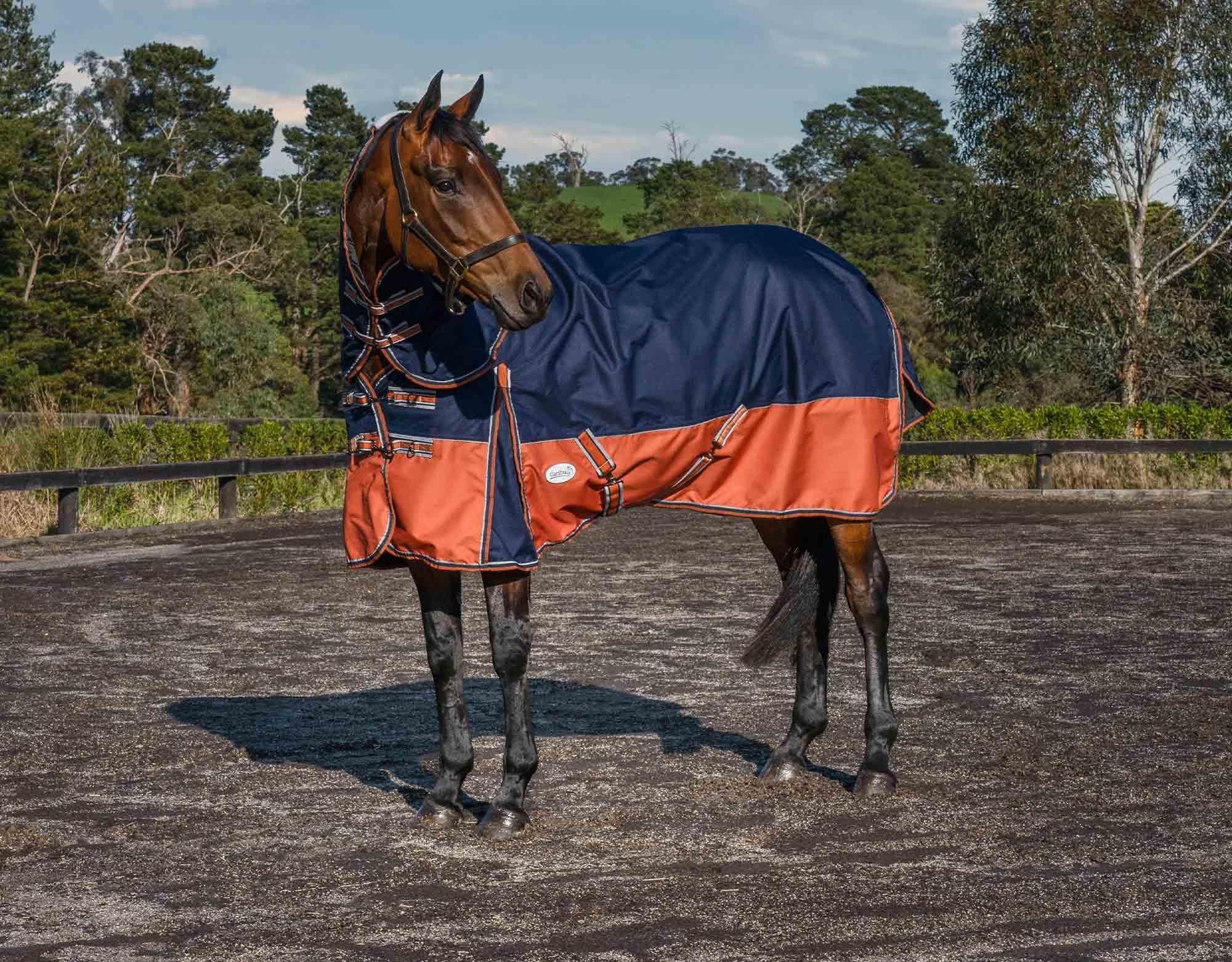 Caribu Alpine Detach-a-Neck Horse Rug 100g Navy Kumquat - Image 20