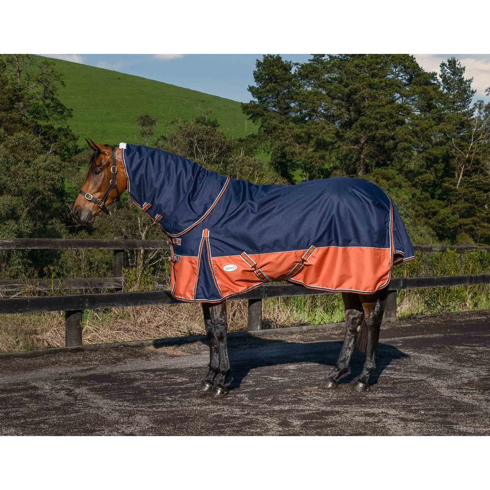 Caribu Alpine Detach-a-Neck Horse Rug 100g Navy Kumquat - Image 3