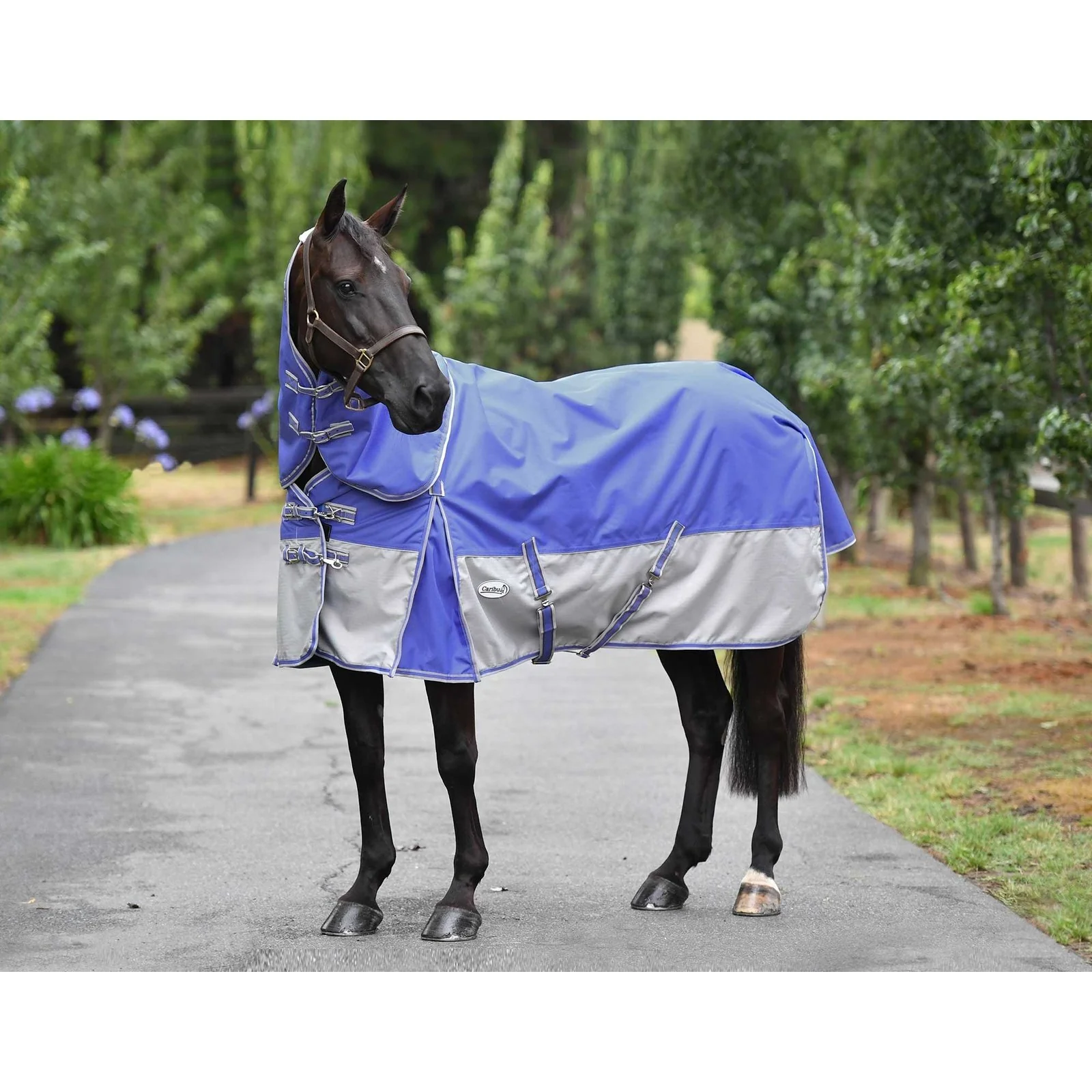 Caribu Alpine Detach-a-Neck Horse Rug 100g Navy Kumquat - Image 9