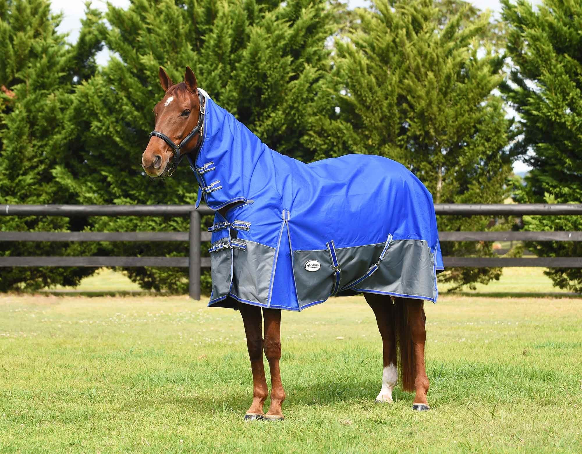 Caribu Alpine Combo Horse Rug 300g - Image 10