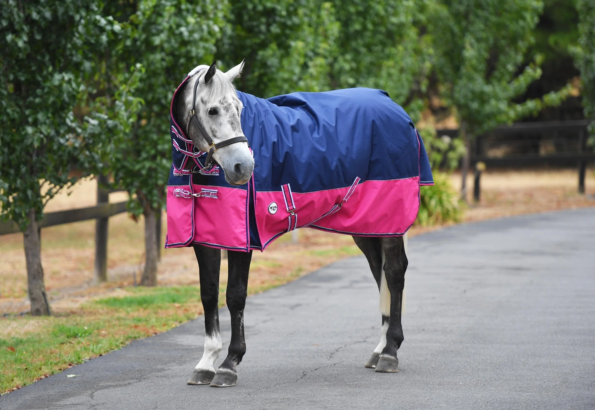 Caribu Alpine Combo Horse Rug 300g - Image 12