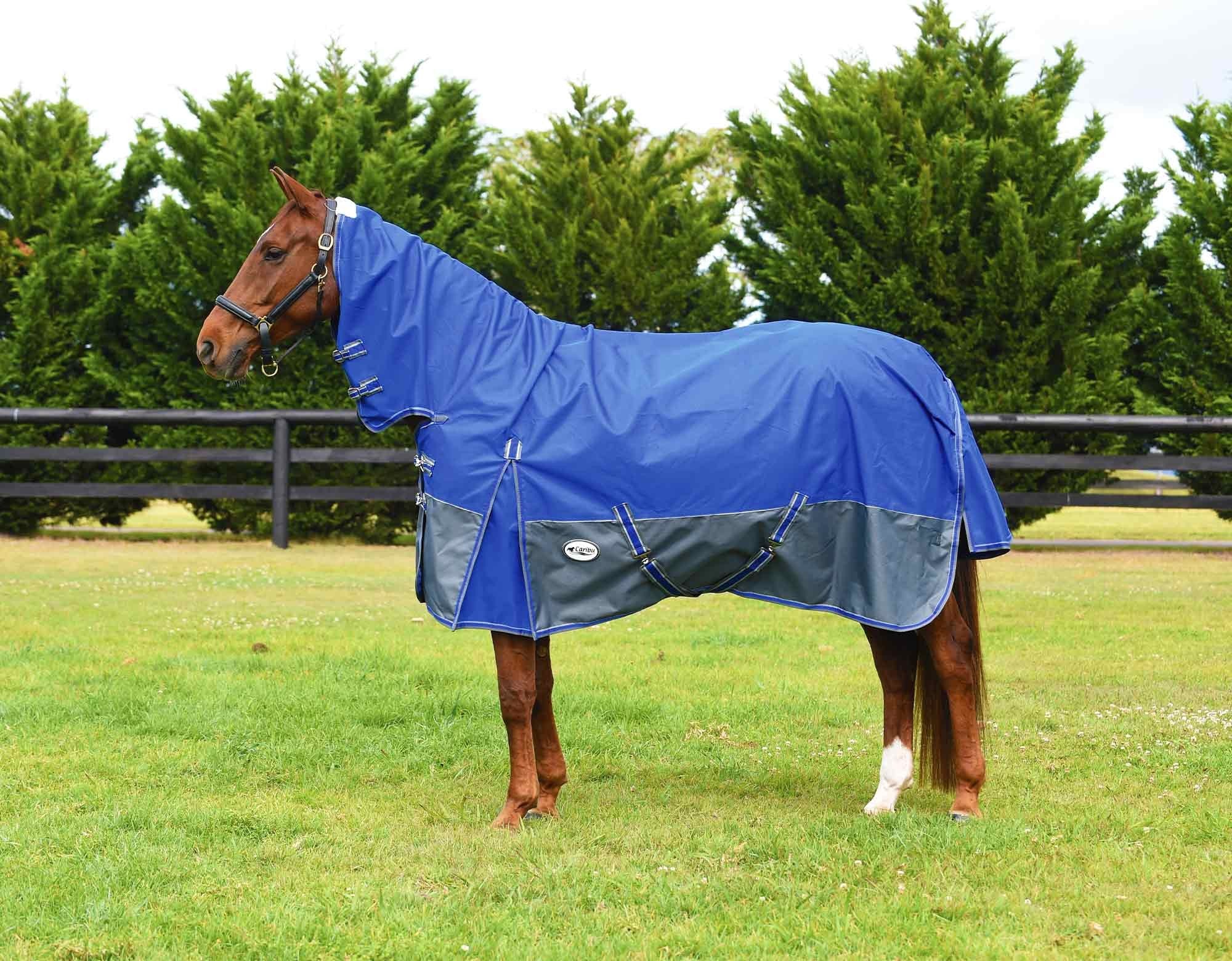 Caribu Alpine Combo Horse Rug 300g - Image 56