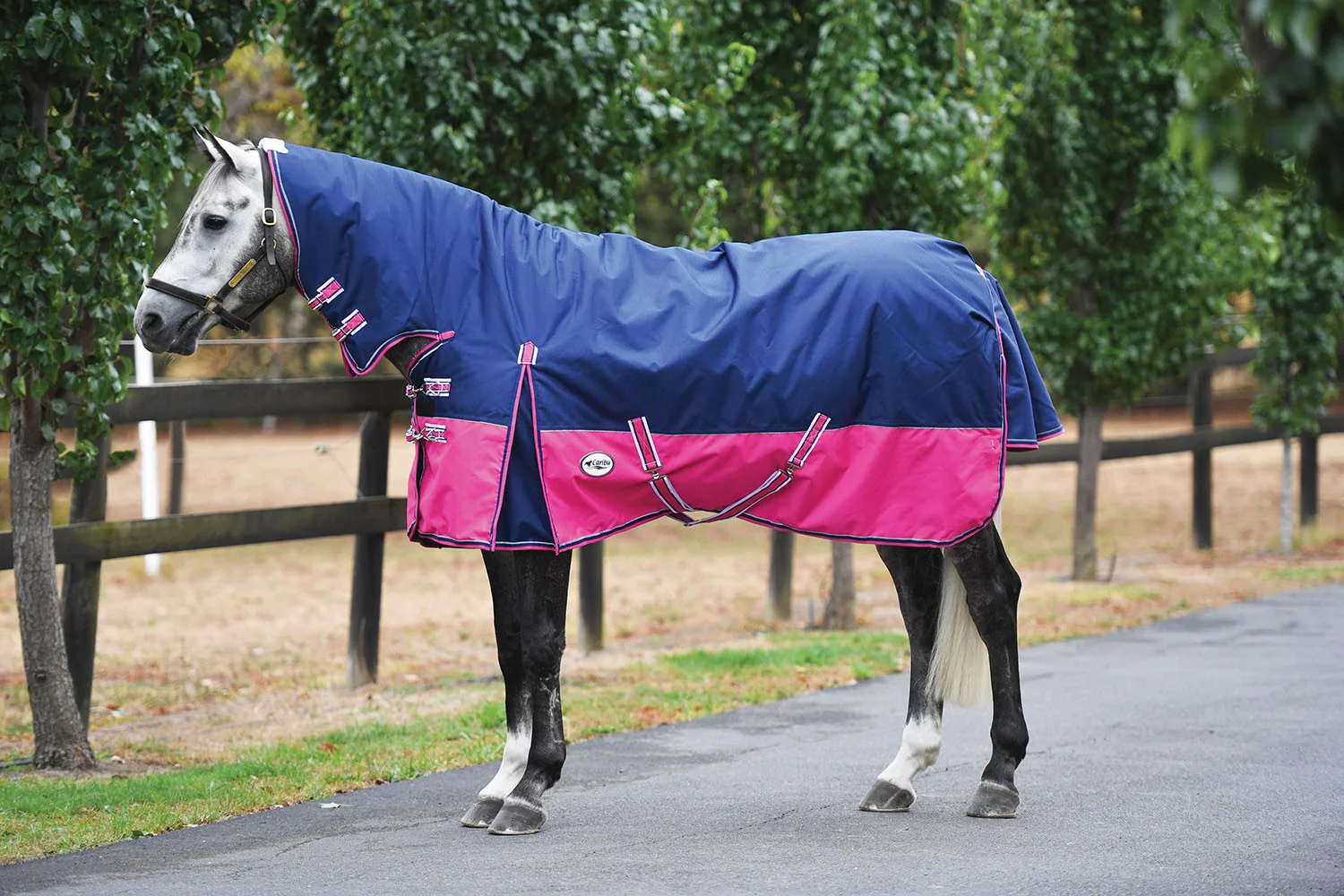 Caribu Alpine Combo Horse Rug 300g - Image 58
