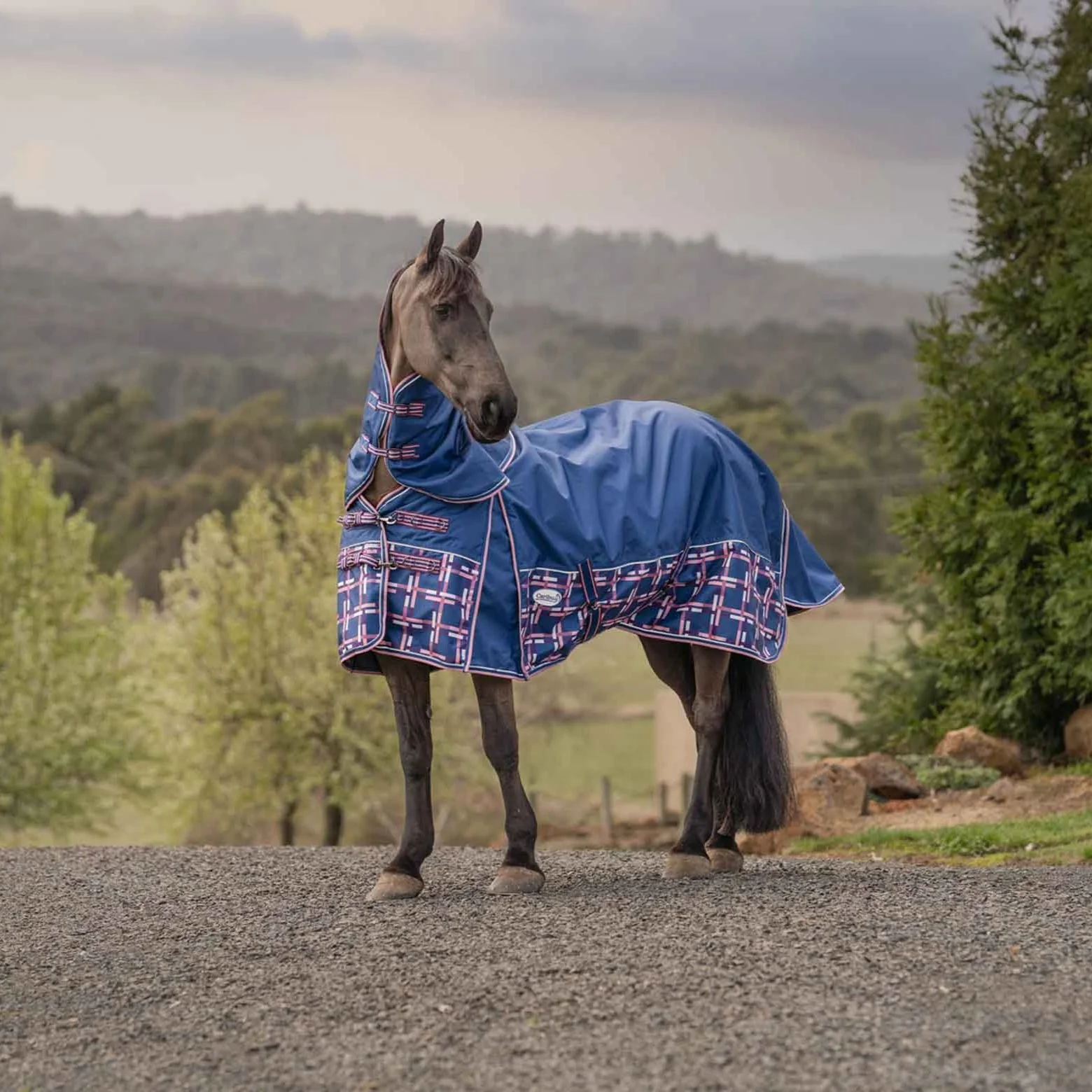 Caribu Alpine XL Gusset Detach-a-Neck Horse Rug 100g Navy Check - Image 41