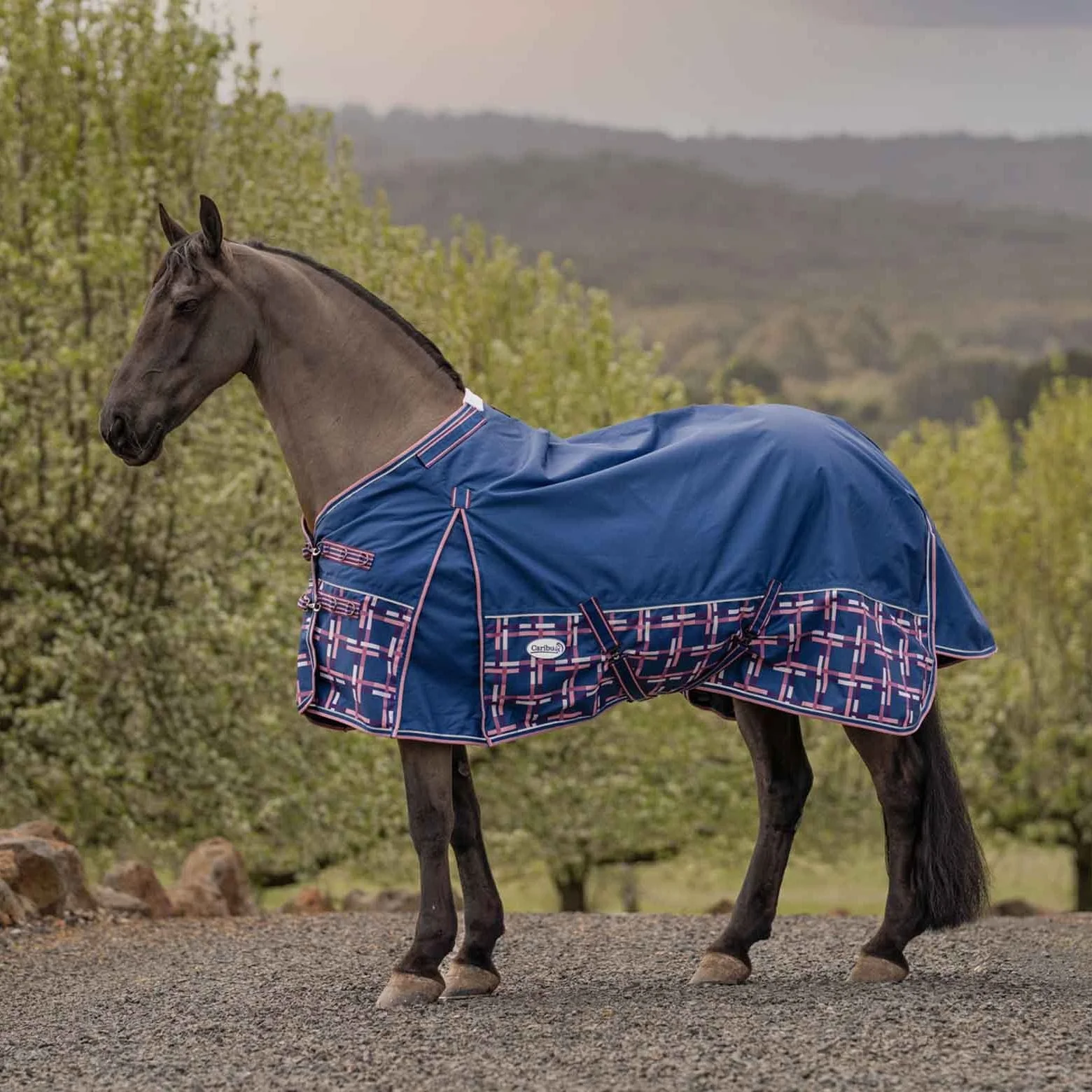 Caribu Alpine XL Gusset Detach-a-Neck Horse Rug 100g Navy Check - Image 45