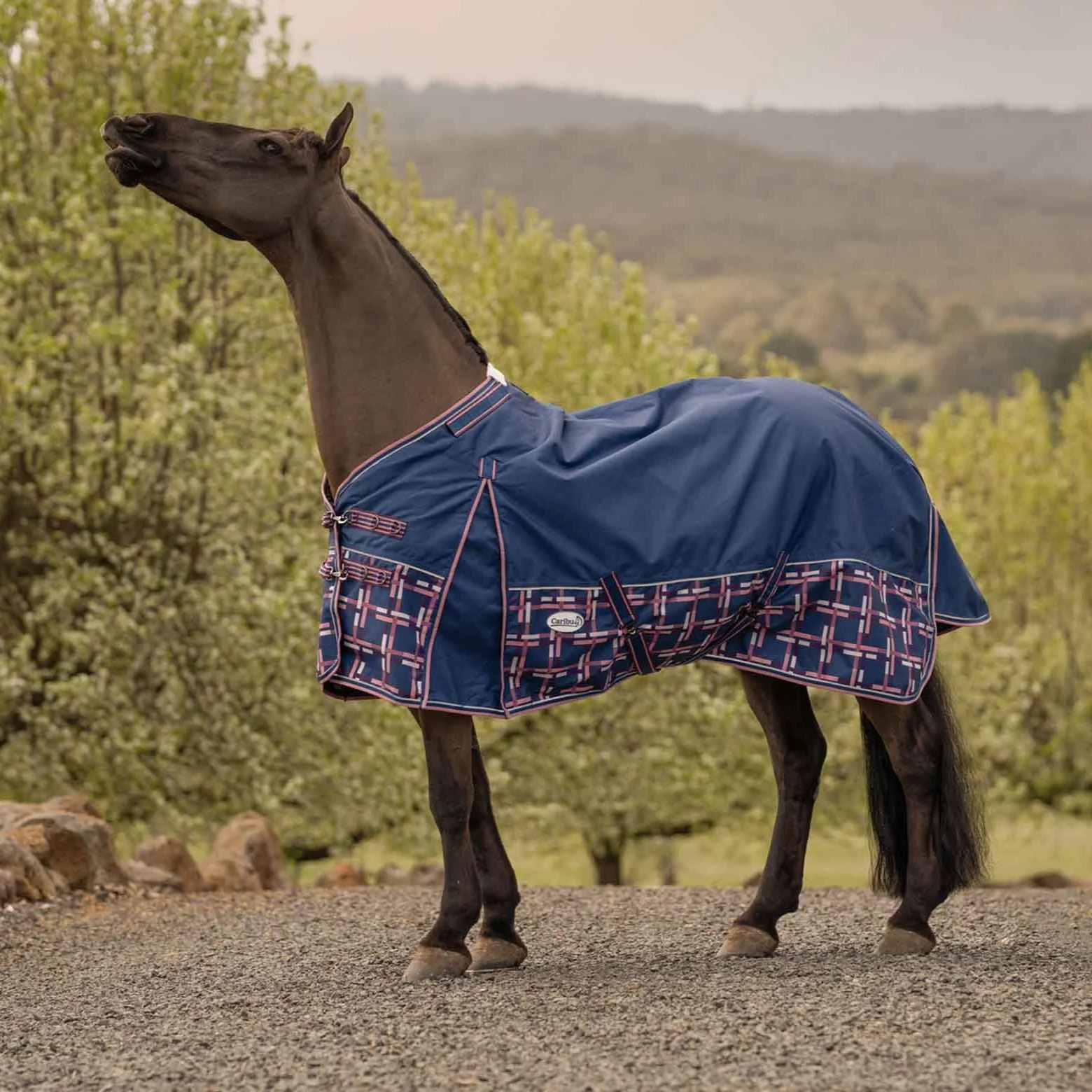 Caribu Alpine XL Gusset Detach-a-Neck Horse Rug 100g Navy Check - Image 52