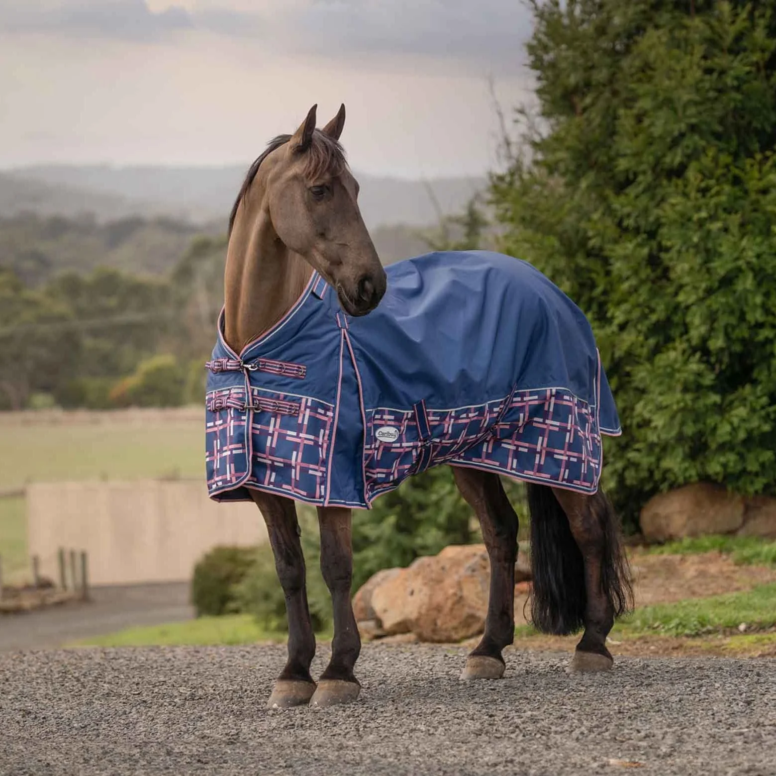 Caribu Alpine XL Gusset Detach-a-Neck Horse Rug 100g Navy Check - Image 61