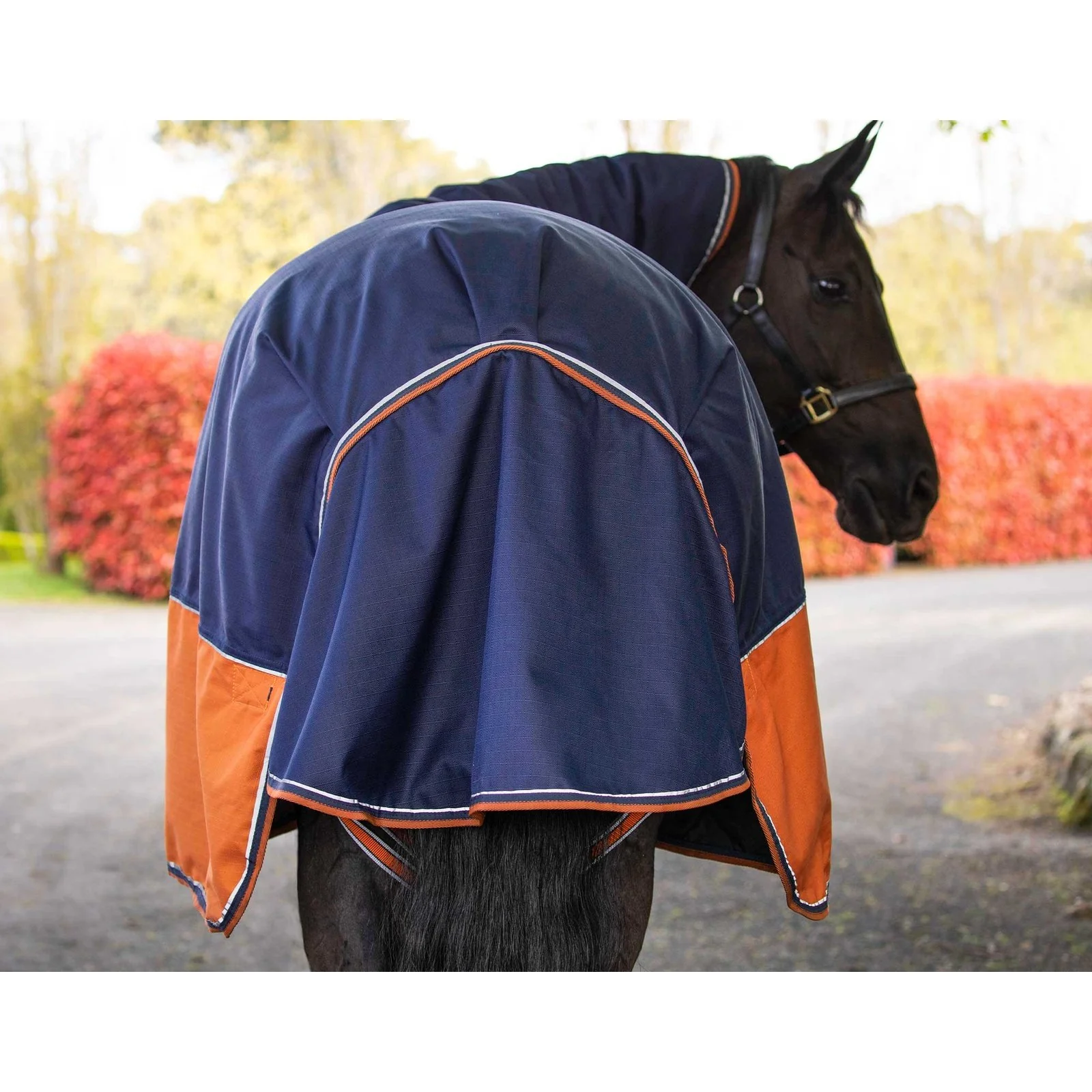 Caribu Alpine XL Gusset Detach-a-Neck Horse Rug 200g Navy Kumquat - Image 5