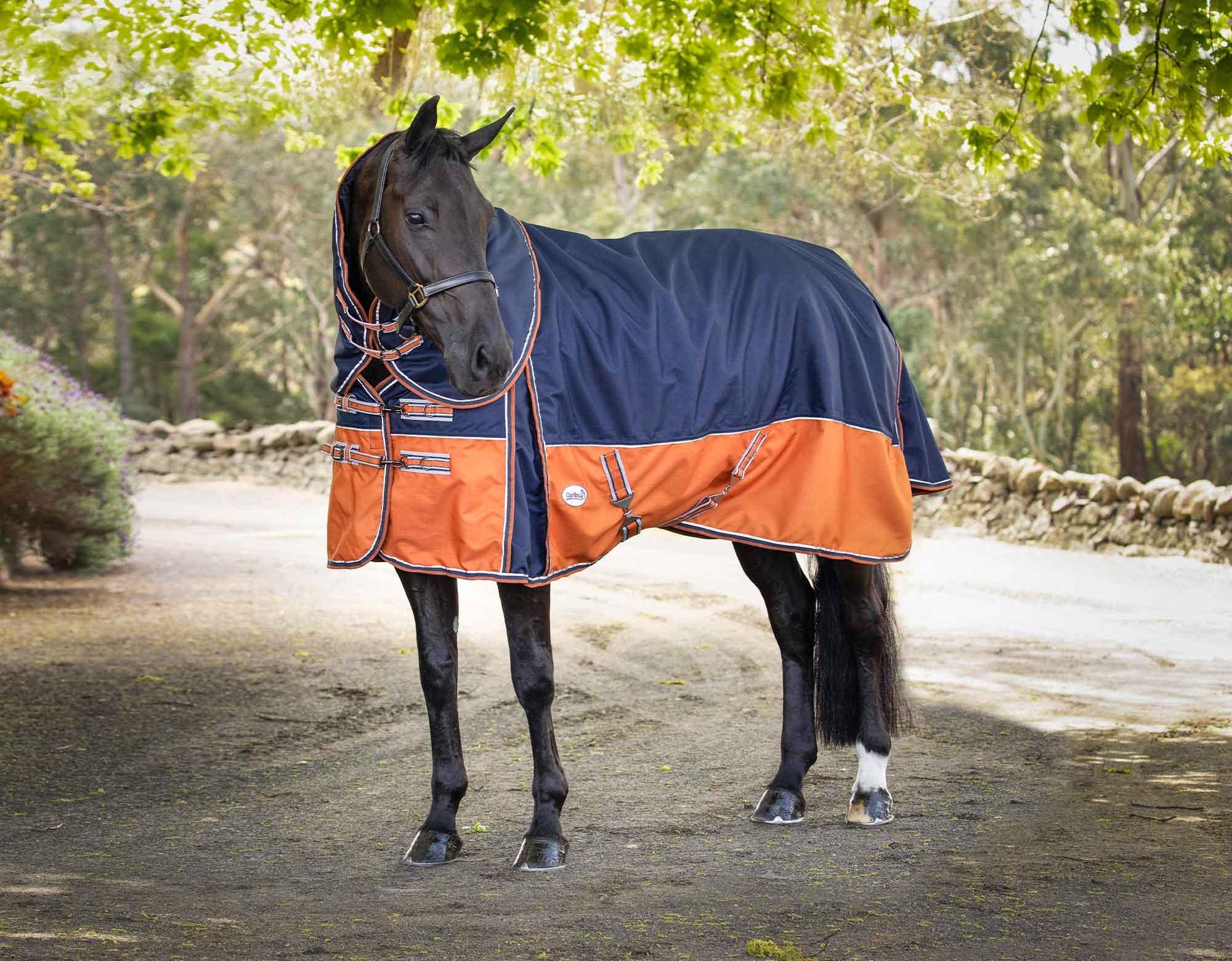 Caribu Alpine XL Gusset Detach-a-Neck Horse Rug 200g Navy Kumquat - Image 9
