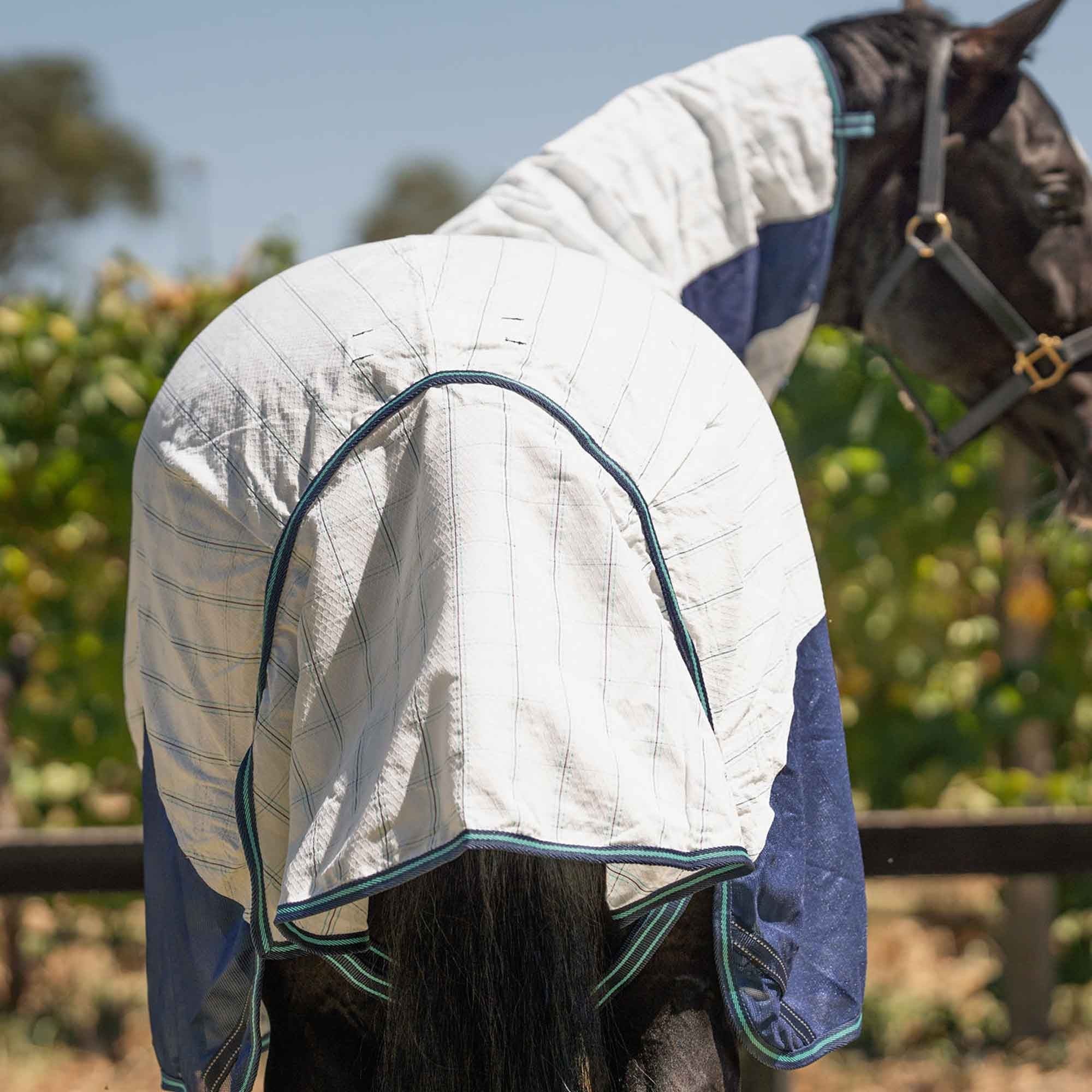 Caribu Atla Hybrid Combo Horse Rug Cobalt & Cabbage - Image 38