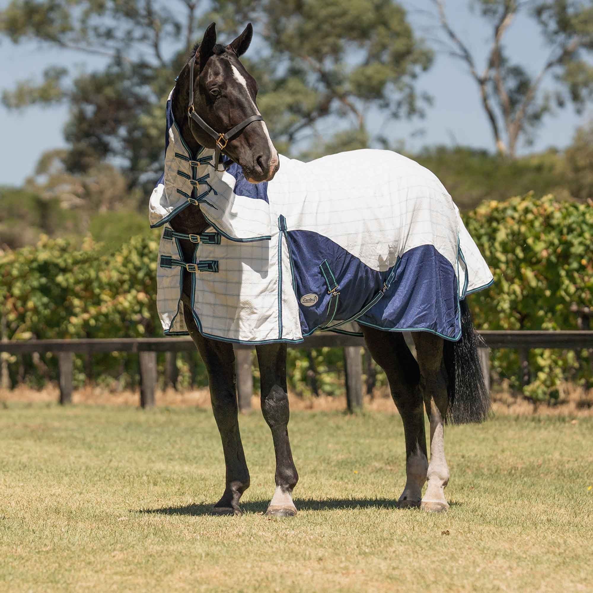 Caribu Atla Hybrid Combo Horse Rug Cobalt & Cabbage - Image 46