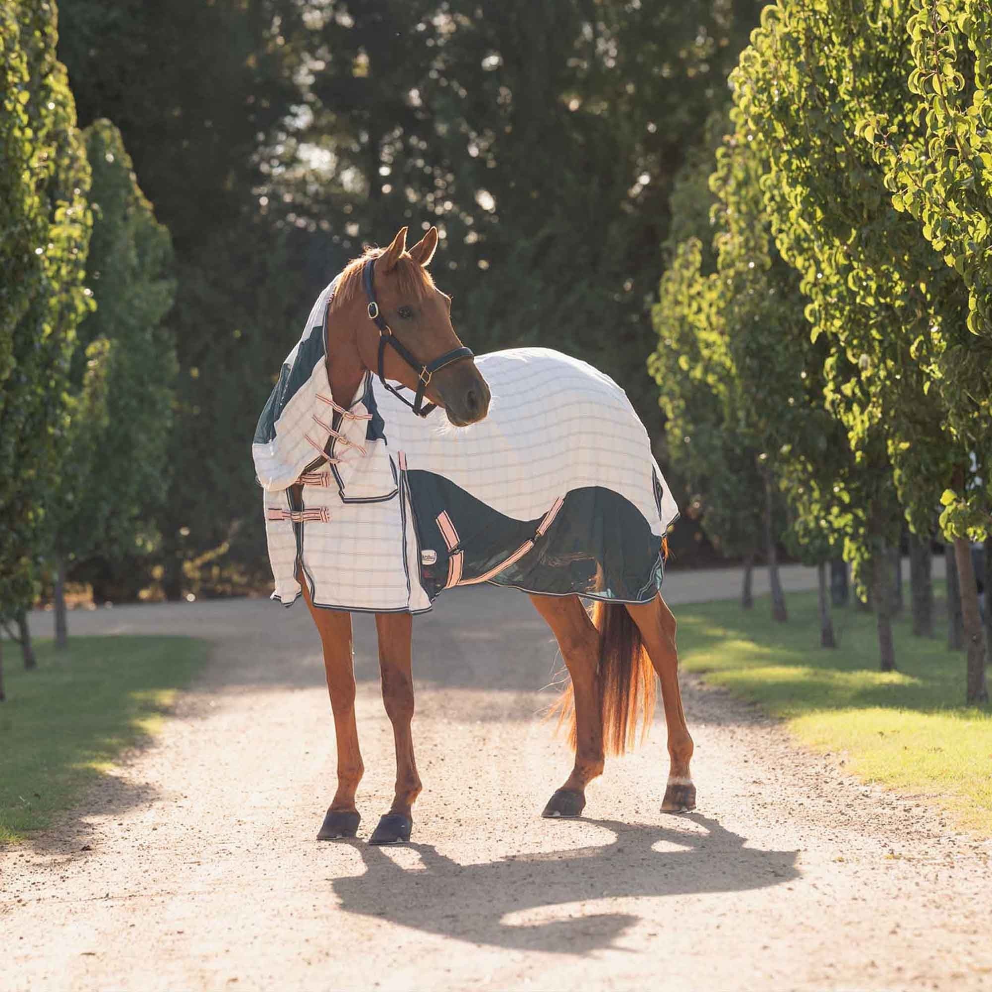 Caribu Atla Hybrid Combo Horse Rug Spruce Peach - Image 29