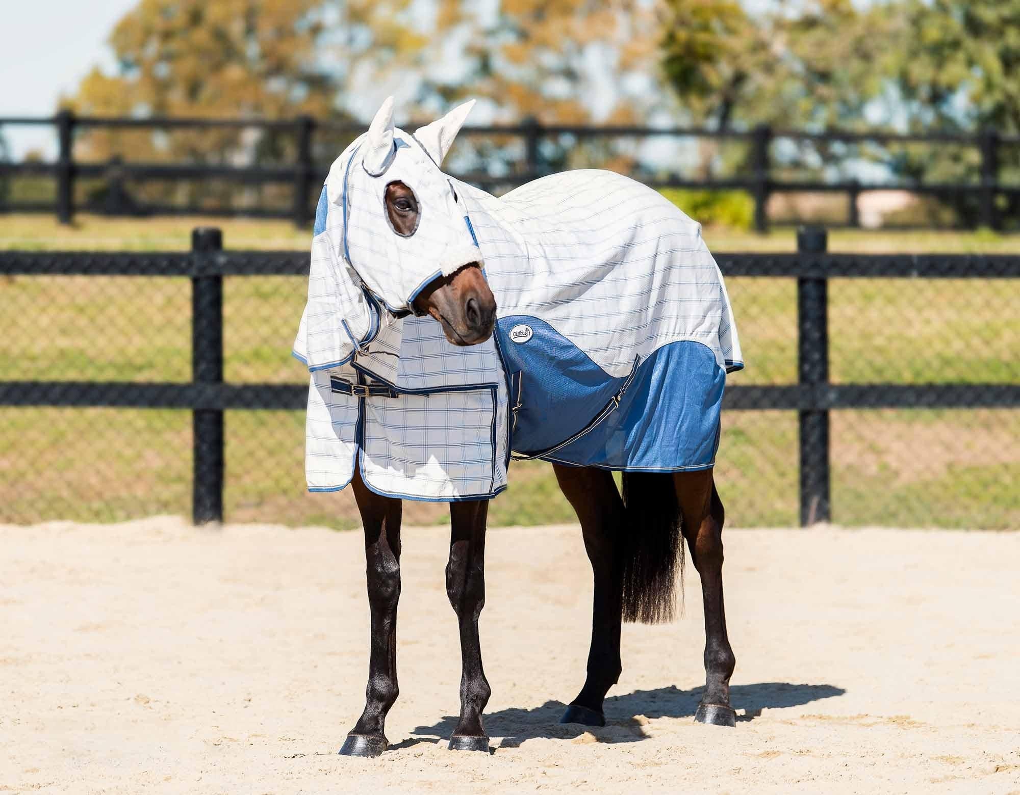Caribu Atla Hybrid Hooded Combo - Image 2