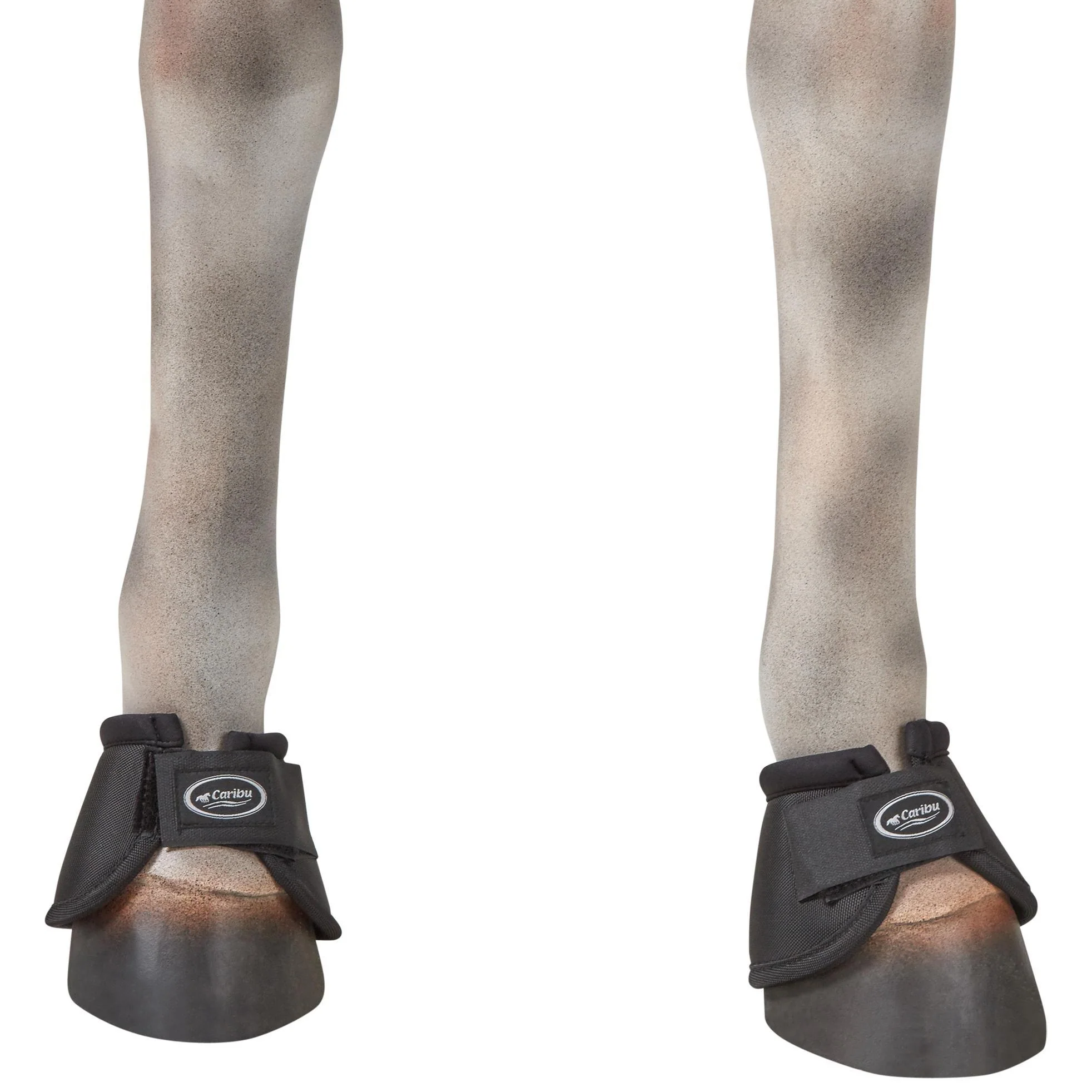 Caribu Bell Boot - Image 28