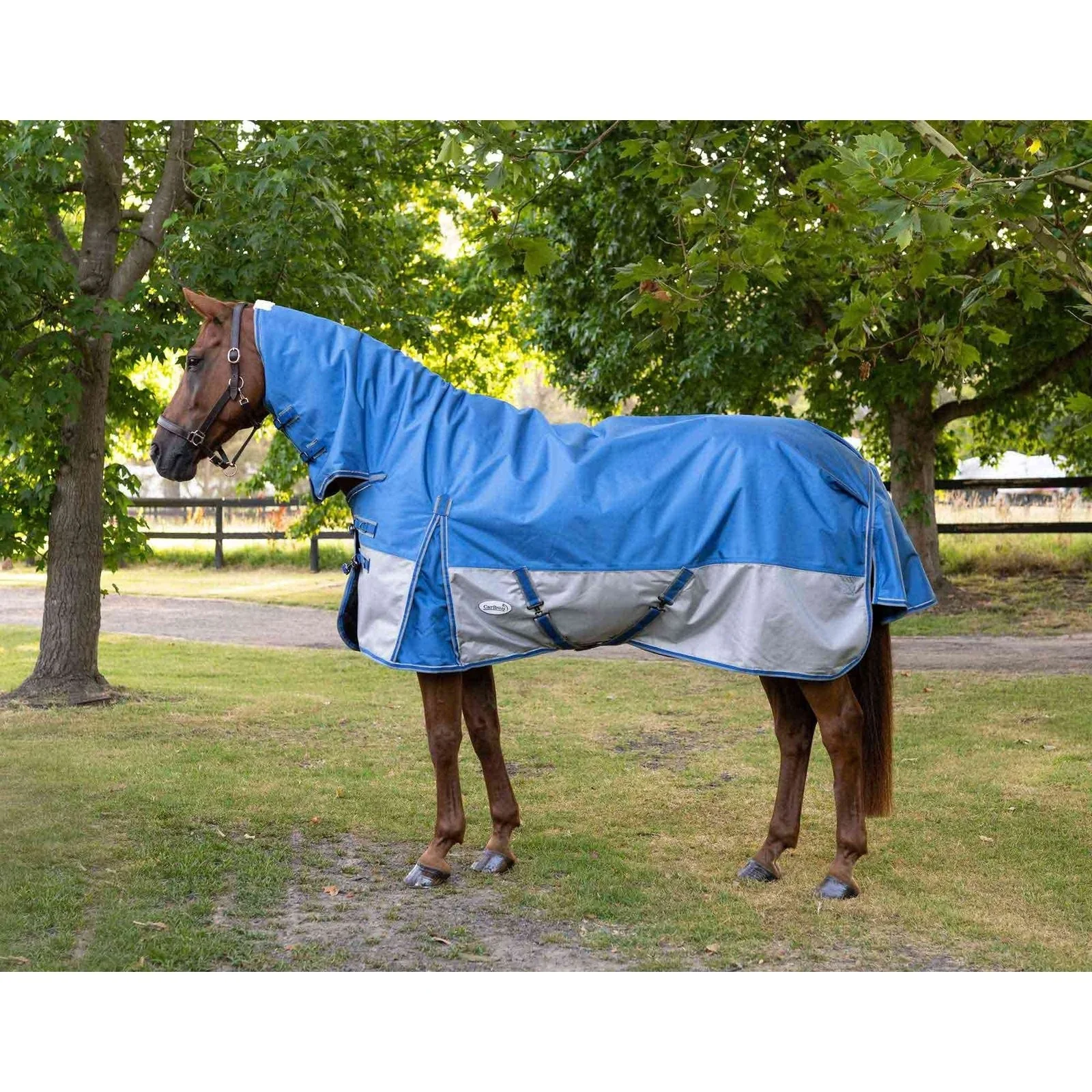 Caribu Colorado Combo Horse Rug 200g - Image 12