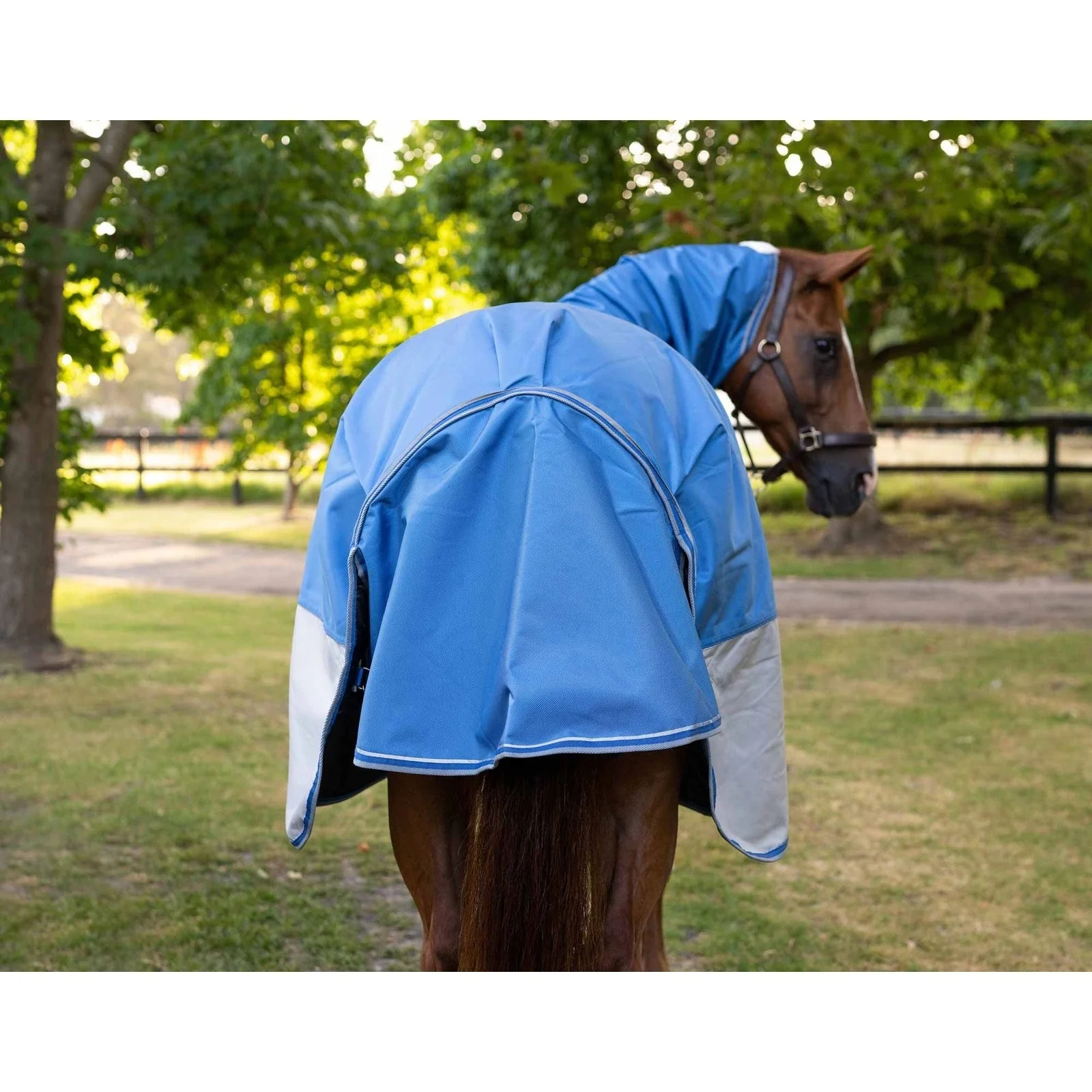 Caribu Colorado Combo Horse Rug 200g - Image 22