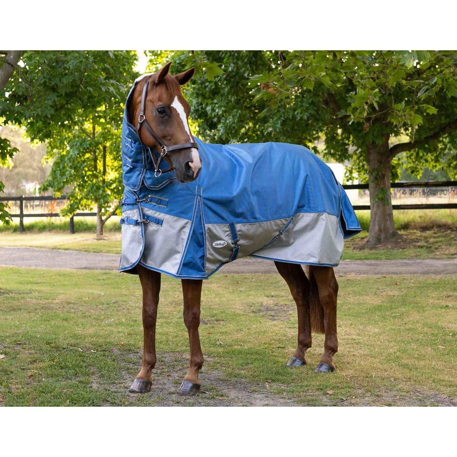 Caribu Colorado Combo Horse Rug 200g - Image 3