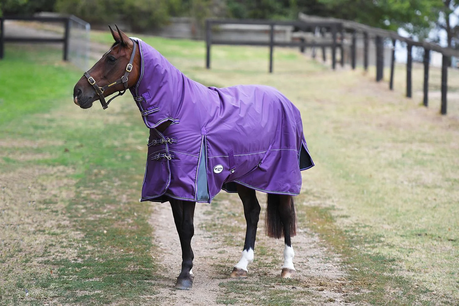 Caribu Colorado Combo Horse Rug 300g - Image 13