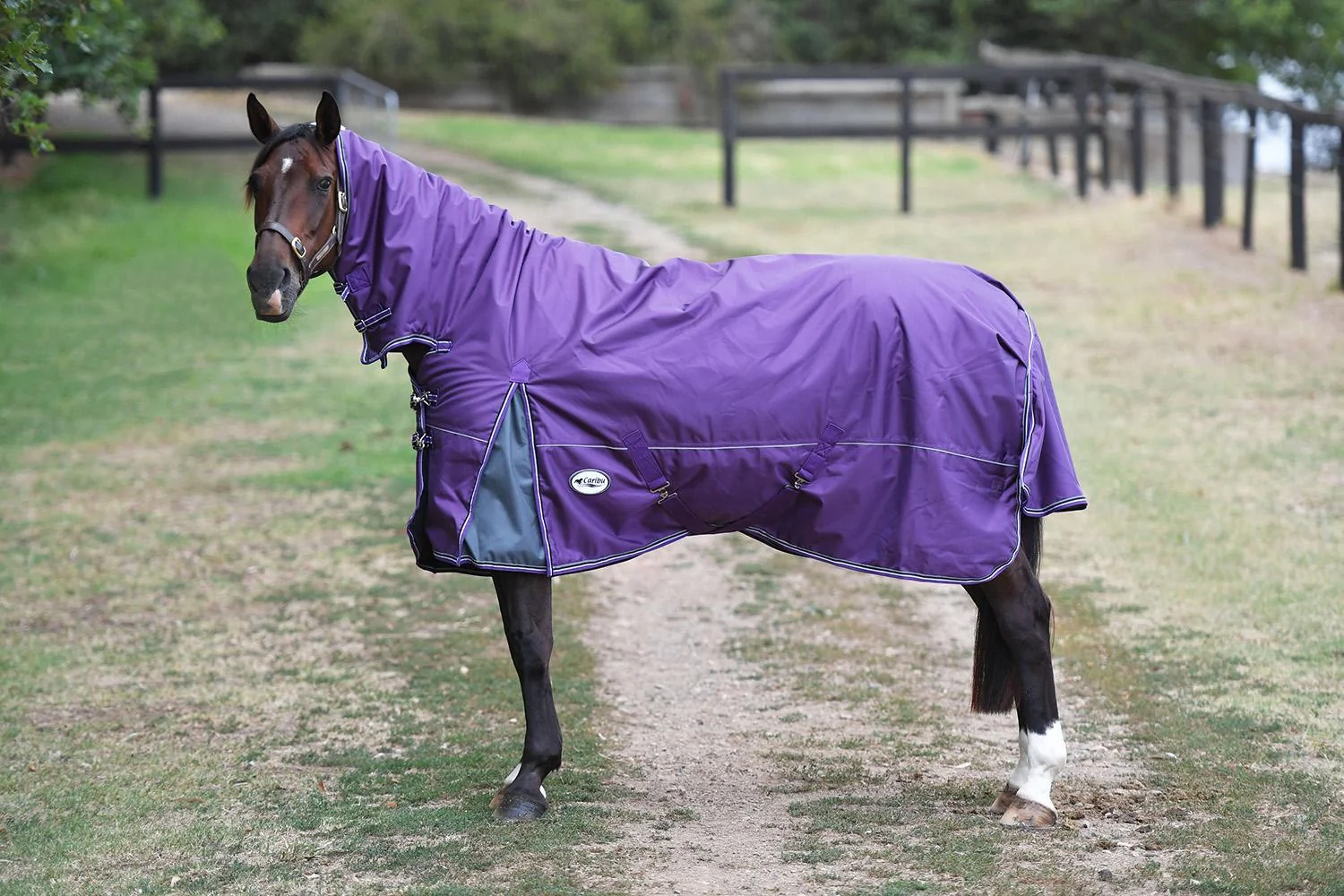 Caribu Colorado Combo Horse Rug 300g - Image 28