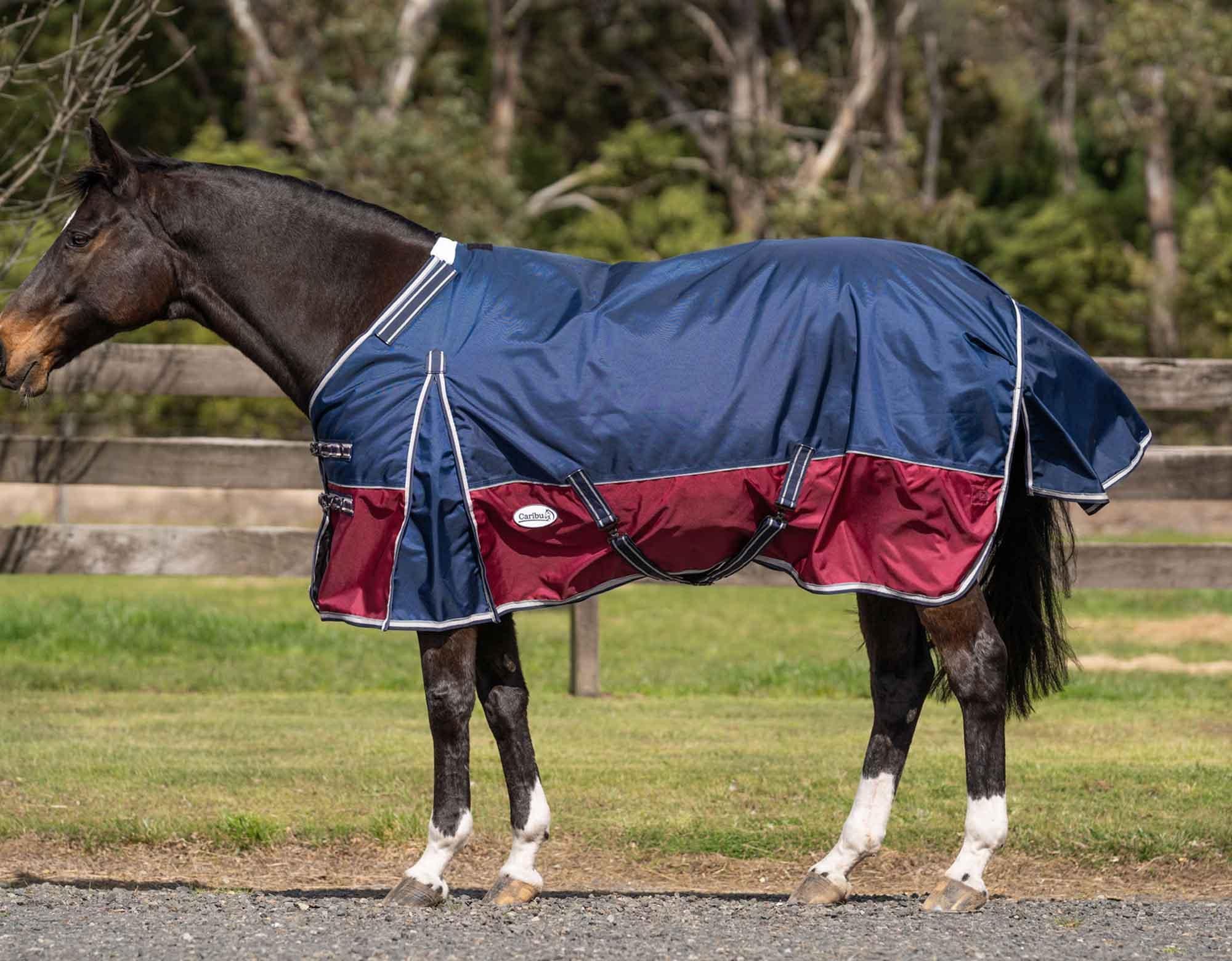 Caribu Colorado Detach-a-Neck Horse Rug 250g Midnight Wine - Image 27