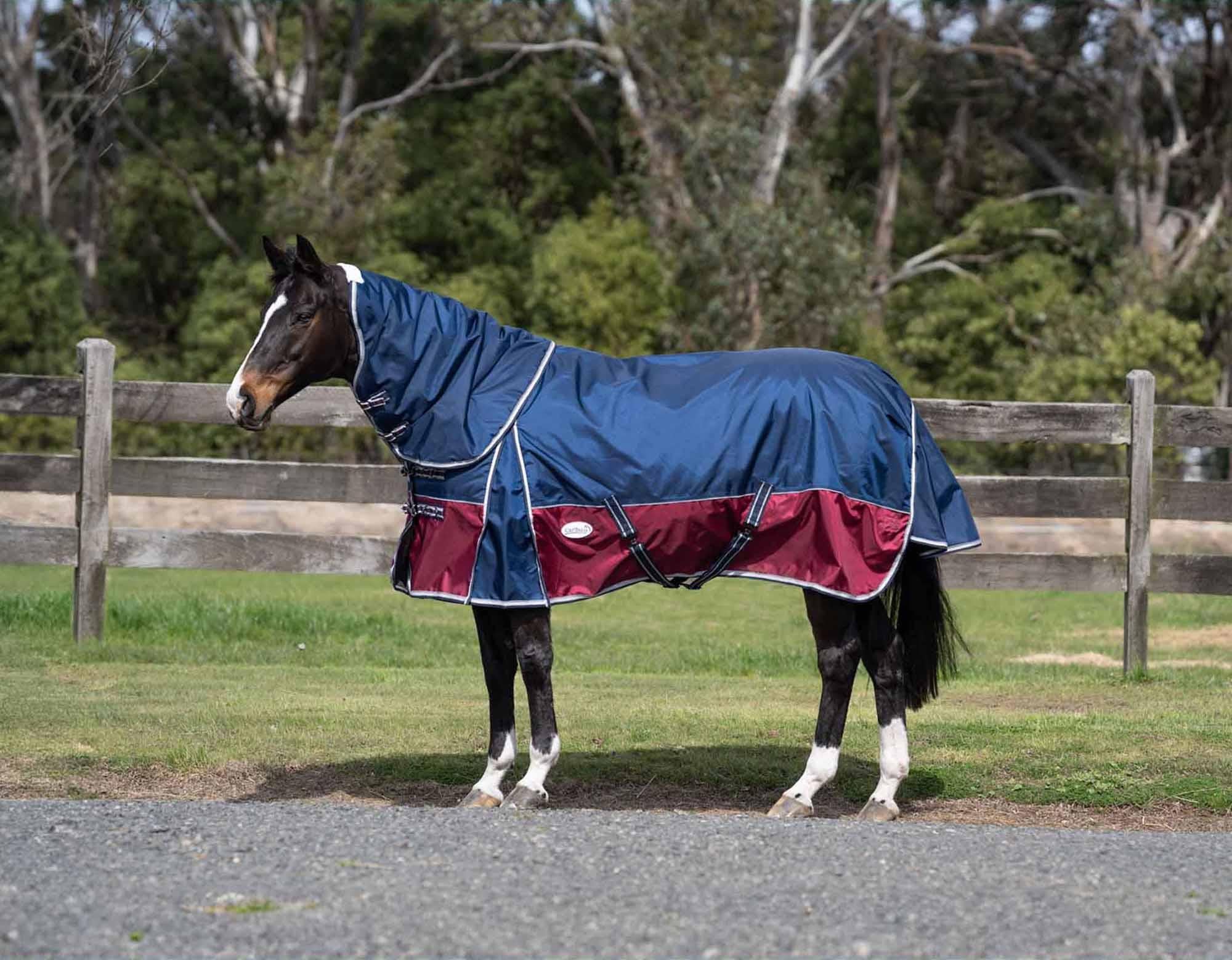 Caribu Colorado Detach-a-Neck Horse Rug 250g Midnight Wine - Image 3