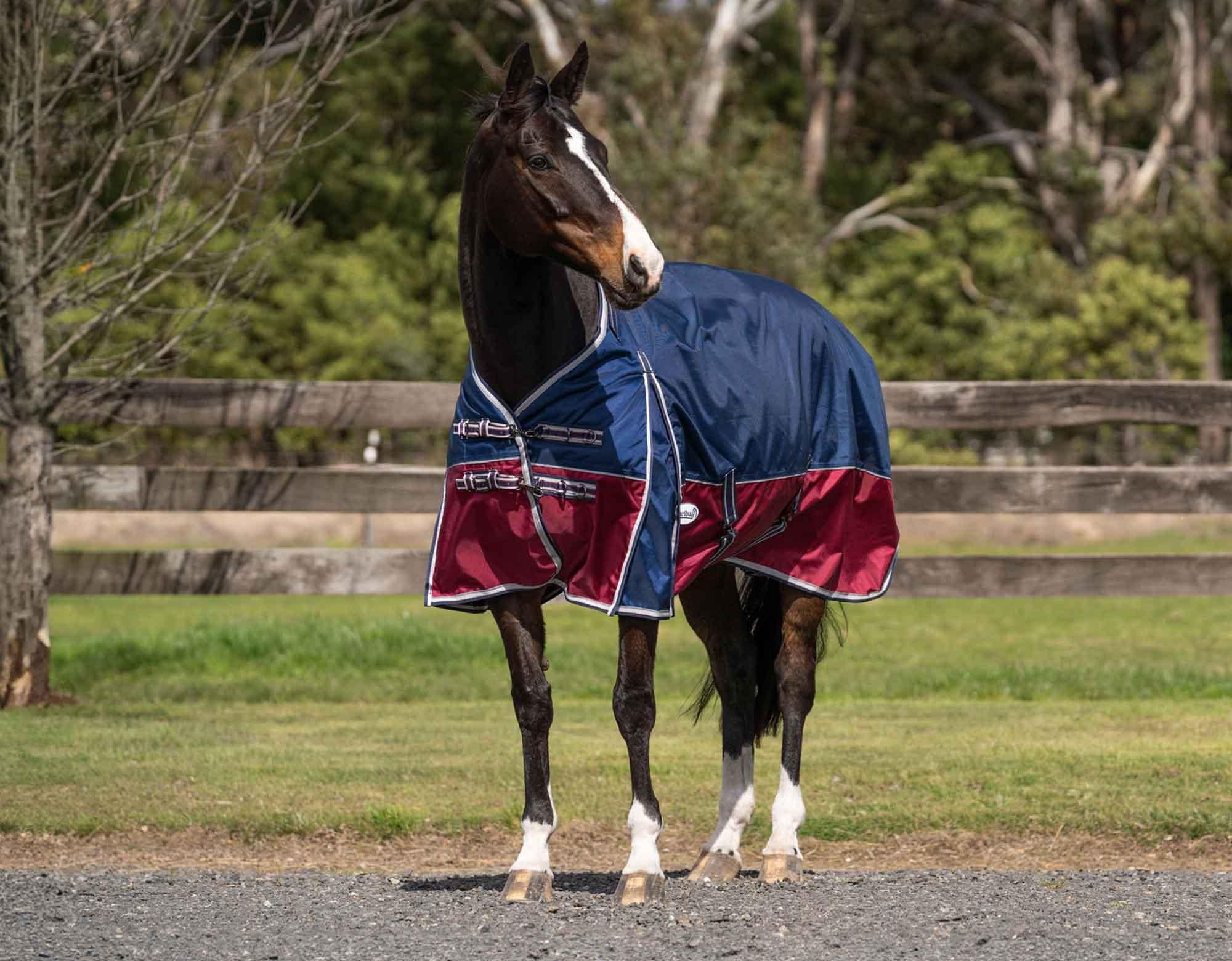 Caribu Colorado Detach-a-Neck Horse Rug 250g Midnight Wine - Image 34