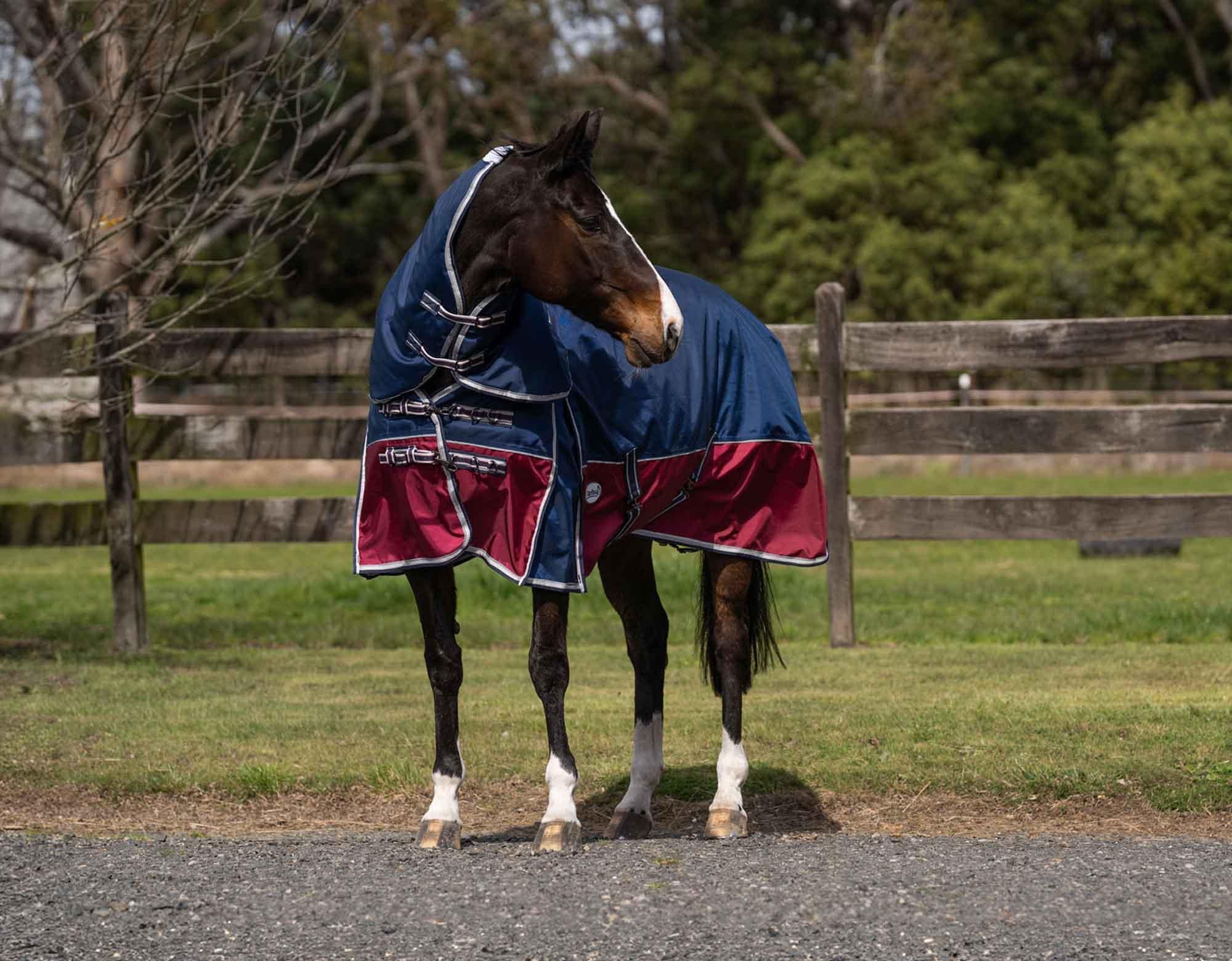 Caribu Colorado Detach-a-Neck Horse Rug 250g Midnight Wine - Image 7