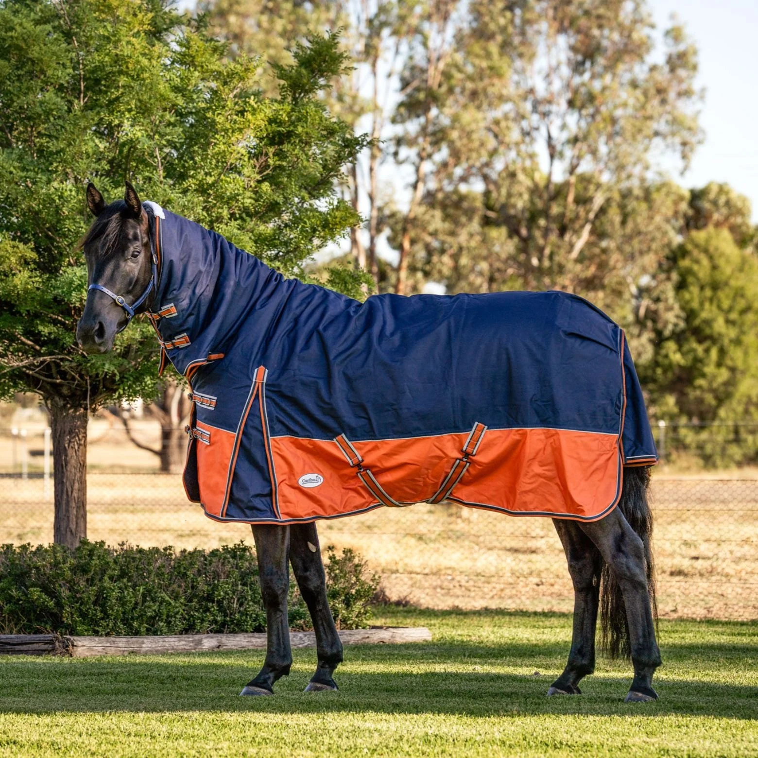 Caribu Colorado Combo Horse Rug 300g Navy/Kumquat - Image 14