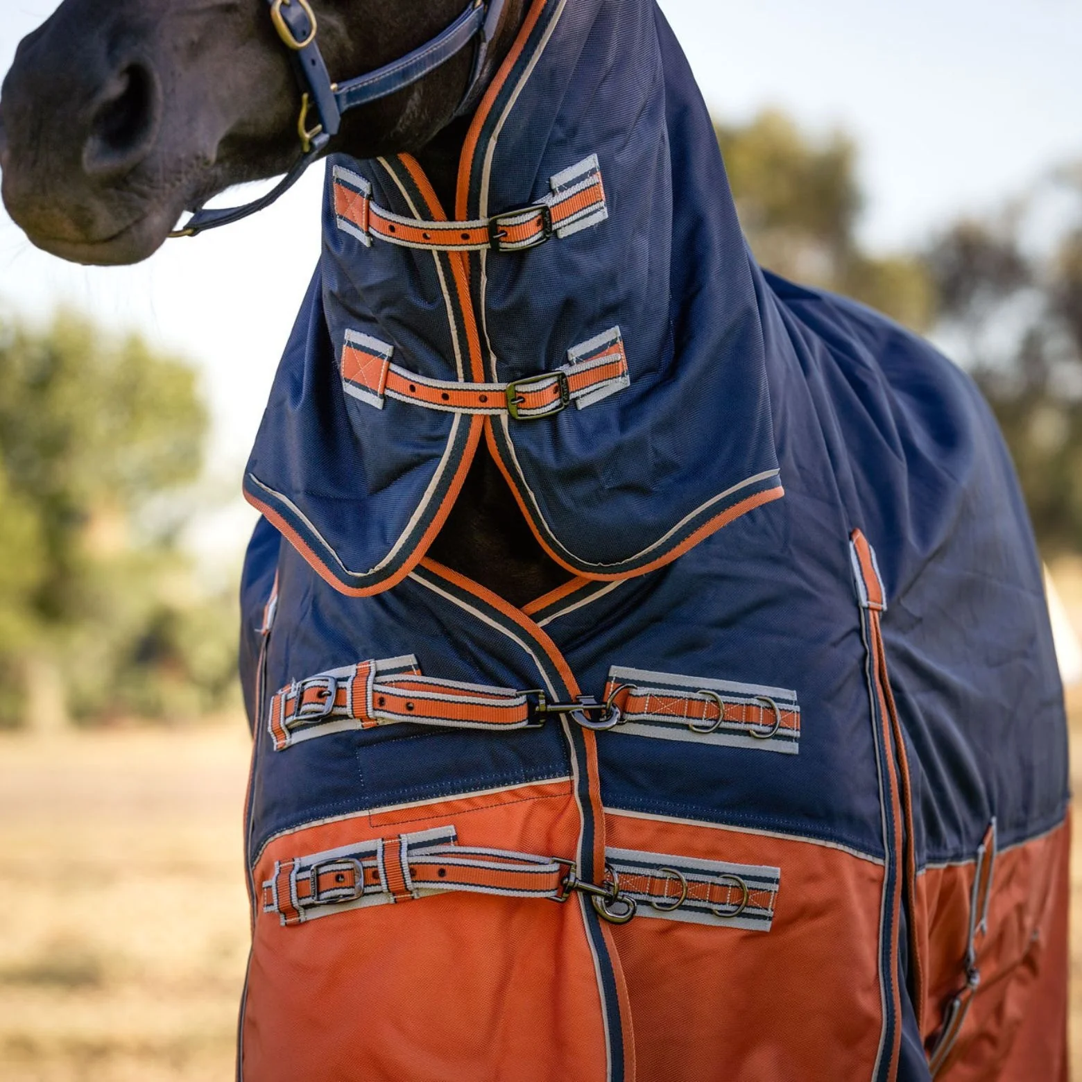 Caribu Colorado Combo Horse Rug 300g Navy/Kumquat - Image 21