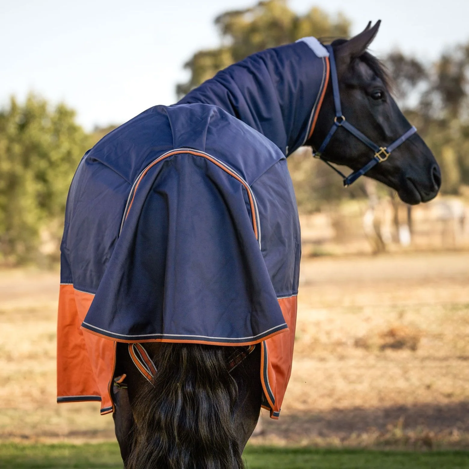 Caribu Colorado Combo Horse Rug 300g Navy/Kumquat - Image 38