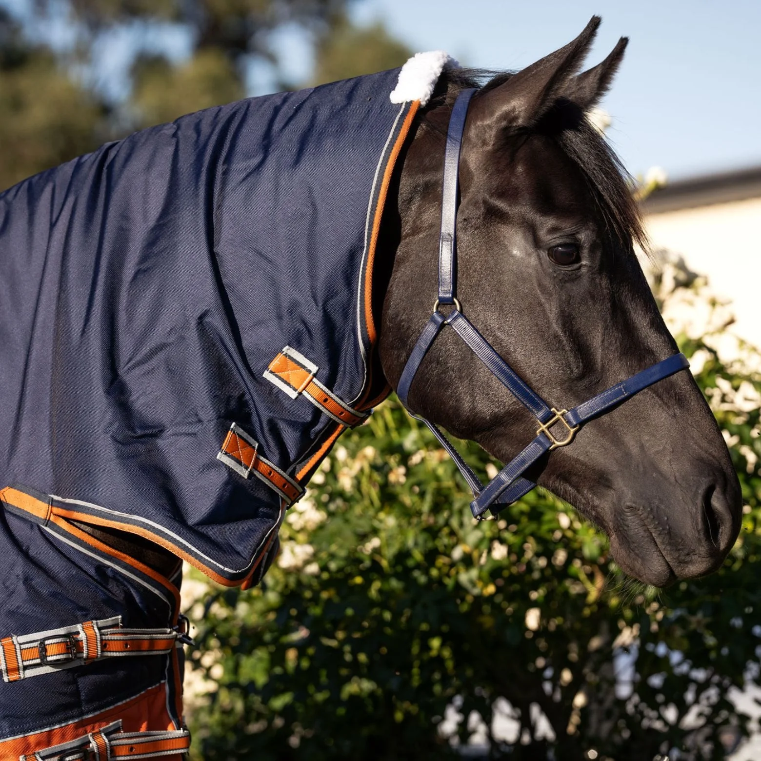Caribu Colorado Combo Horse Rug 300g Navy/Kumquat - Image 92