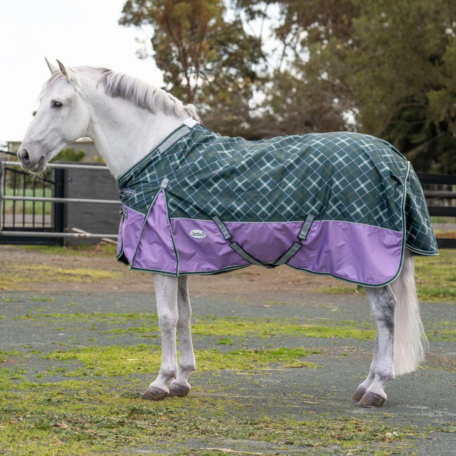 Caribu Colorado Detach-a-Neck Horse Rug 250g Green/Lilac Tartan - Image 23